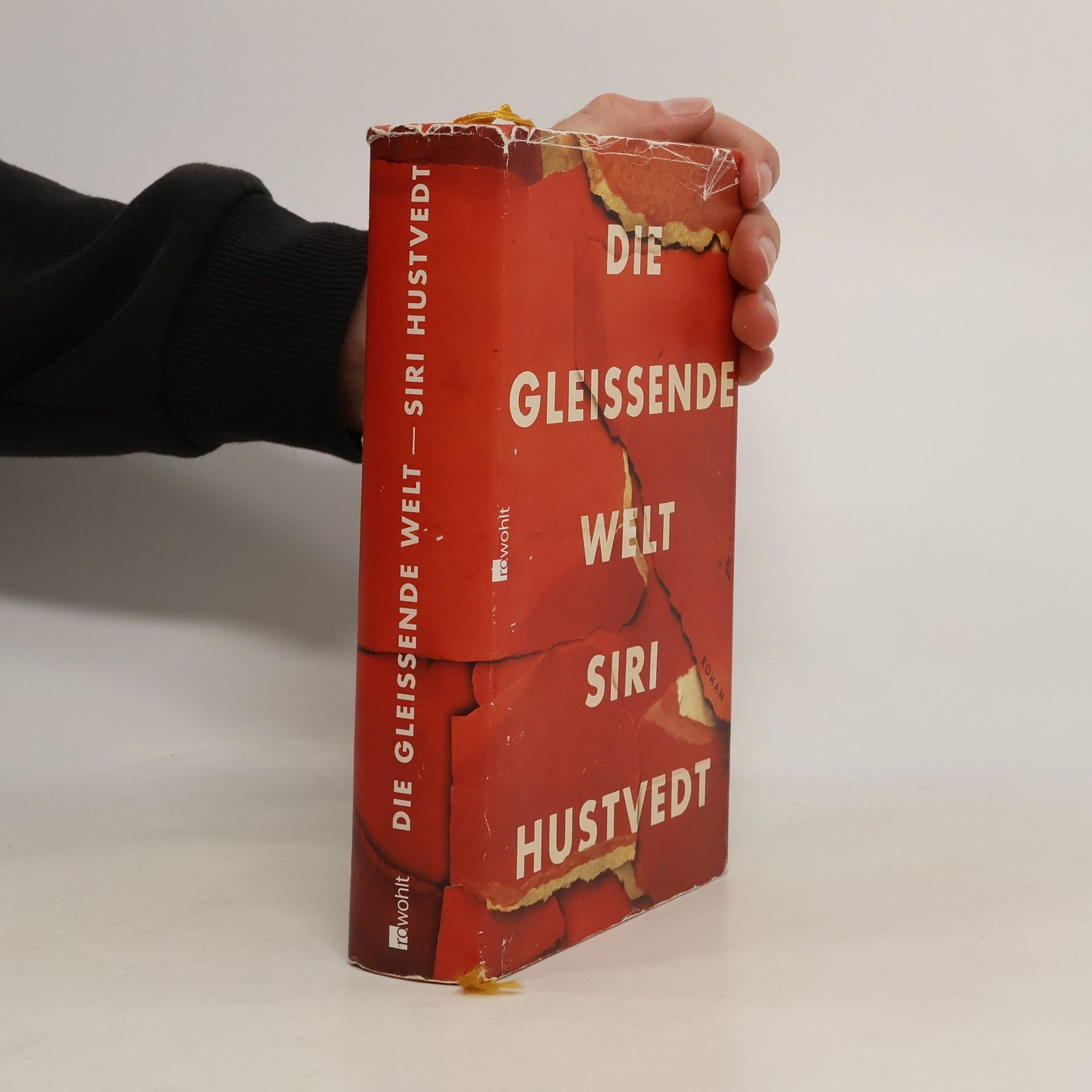 Siri Hustvedt Die gleissende Welt