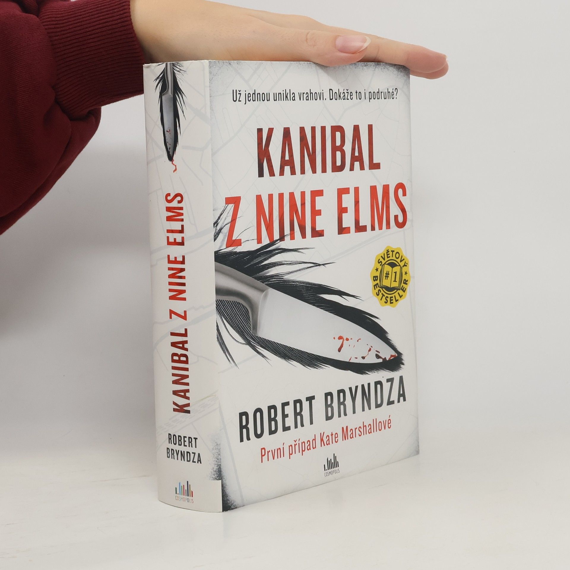 Robert Bryndza Kanibal z Nine Elms