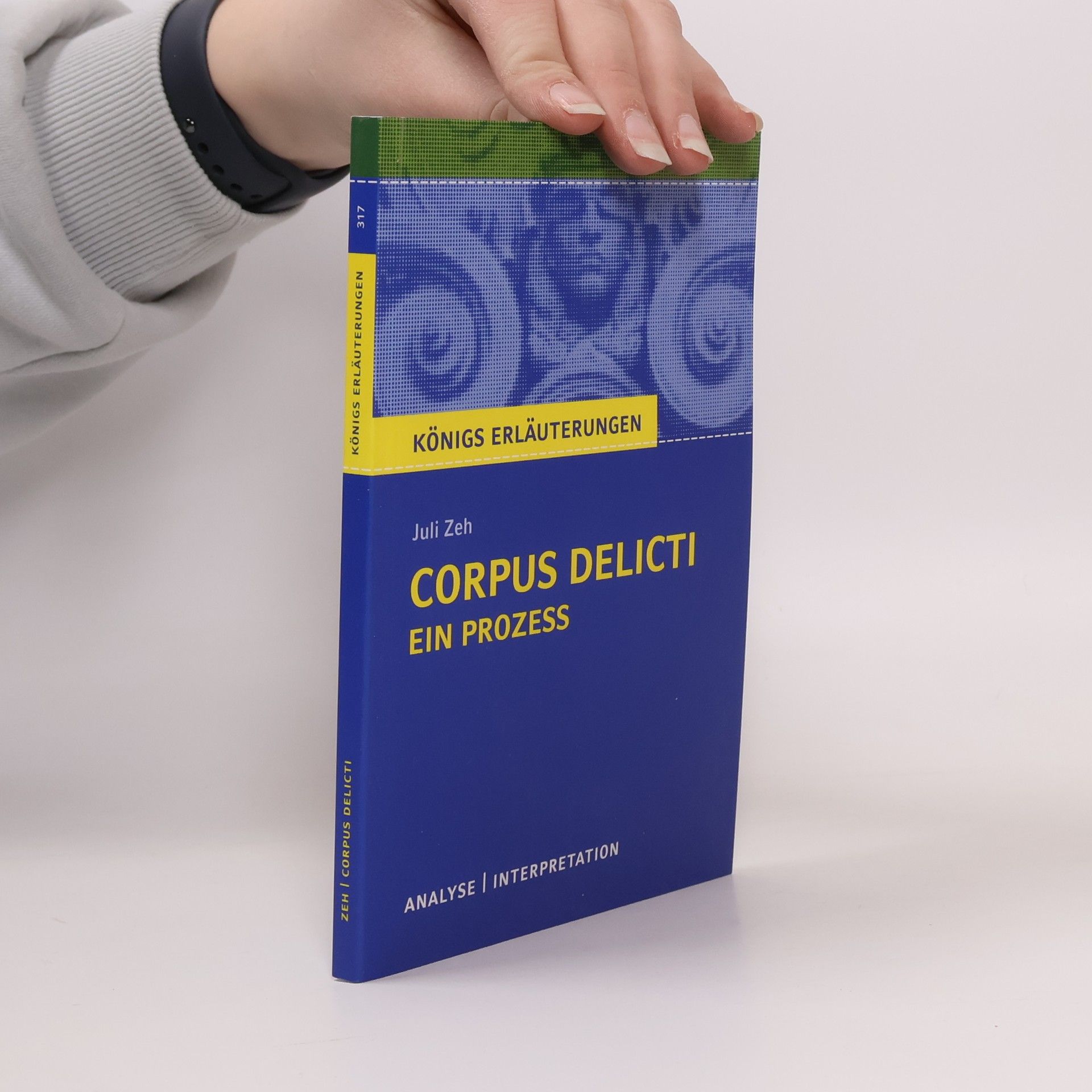 Textanalyse und Interpretation zu Juli Zeh, Corpus delicti, ein Prozess