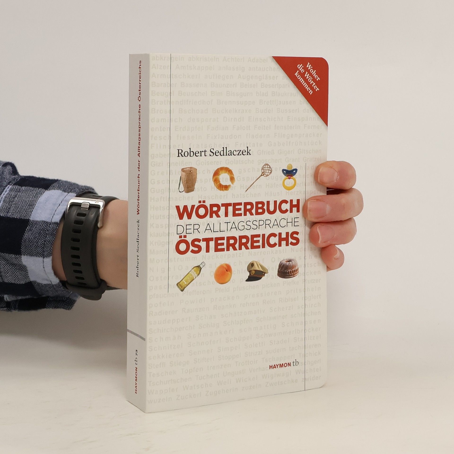 Wörterbuch der Alltagssprache Österreichs