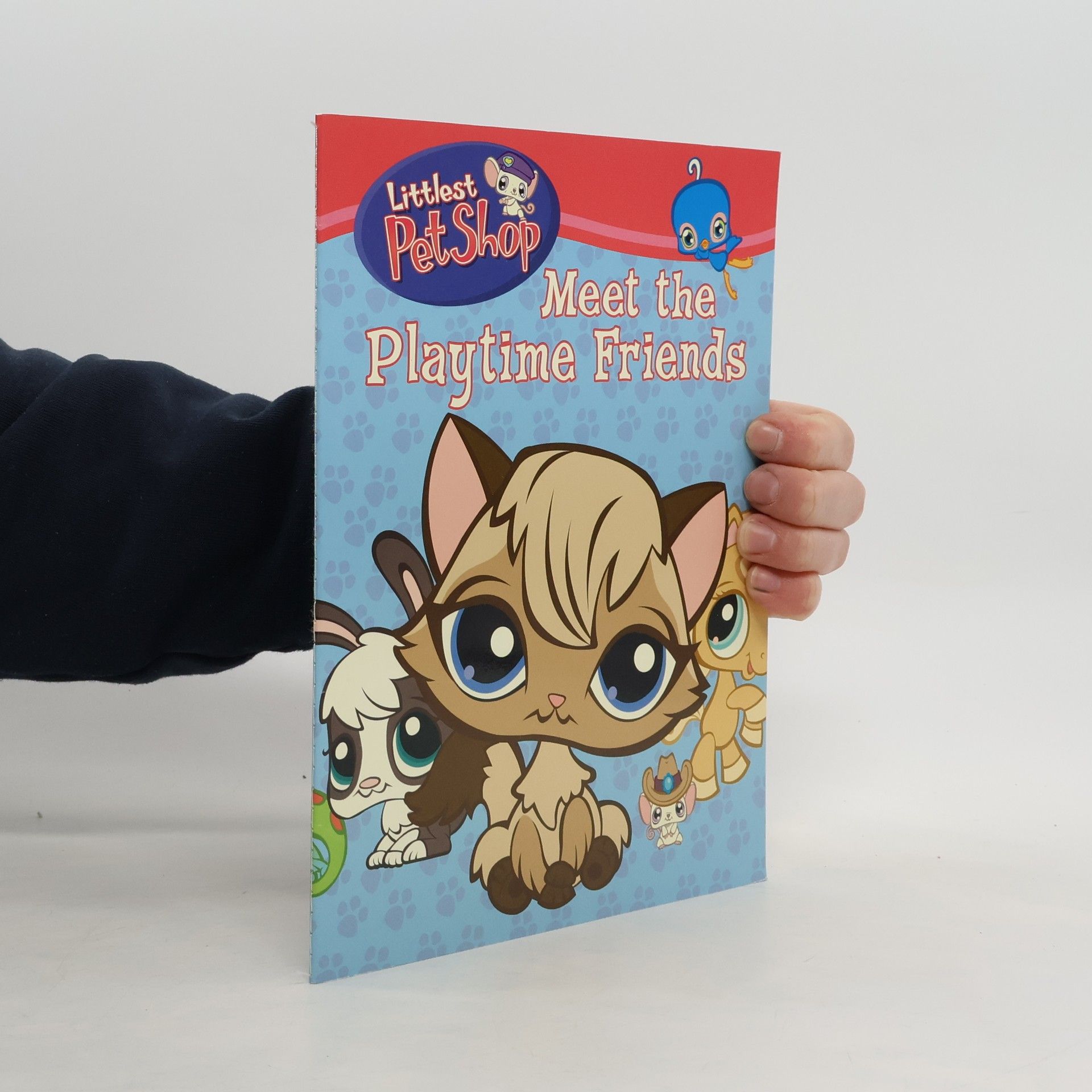 Meet the Playtime Friends