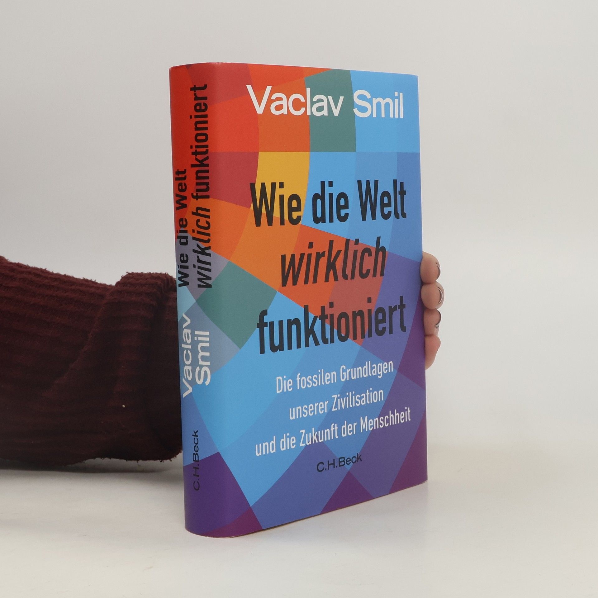 Vaclav Smil Wie die Welt wirklich funktioniert