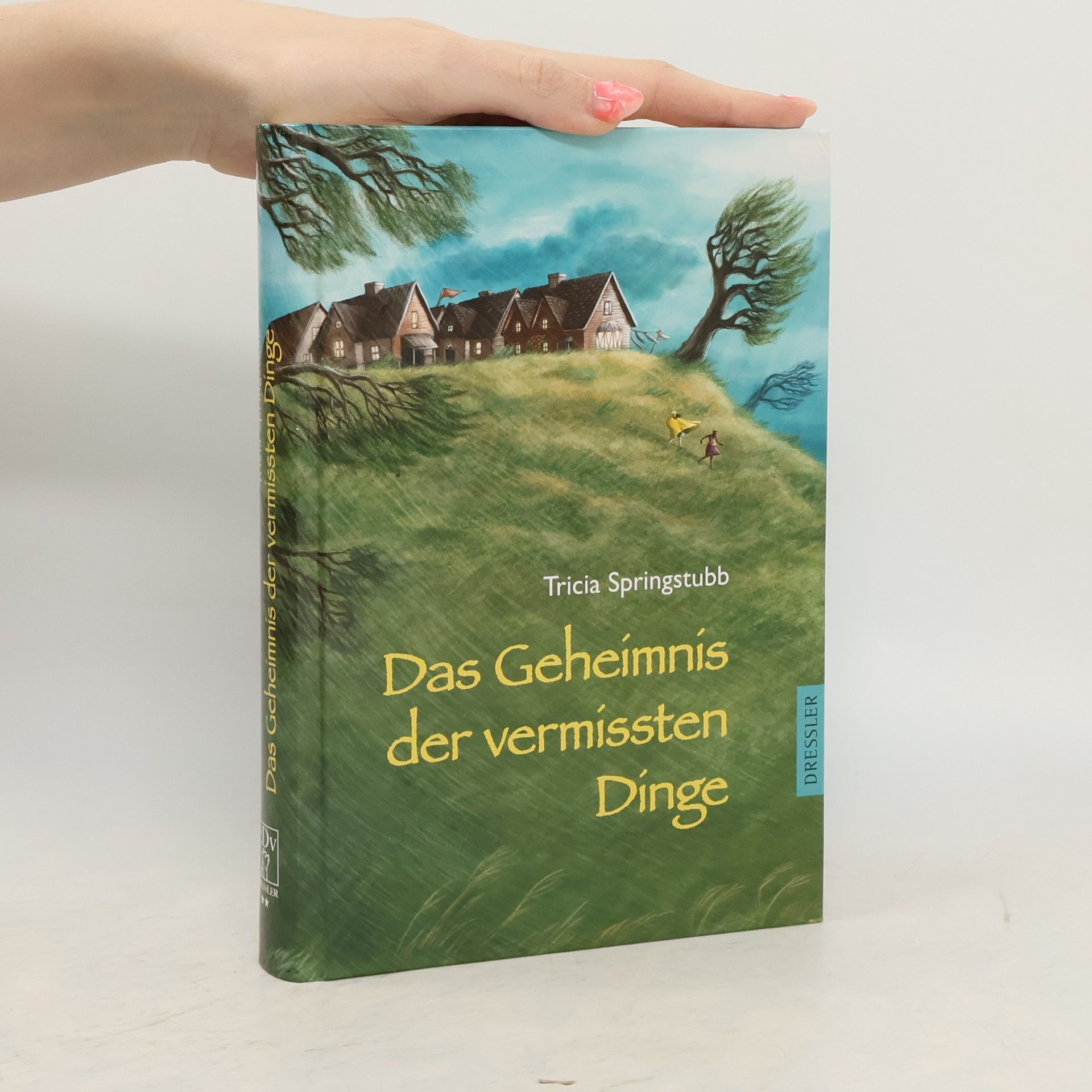 Tricia Springstubb Das Geheimnis der vermissten Dinge