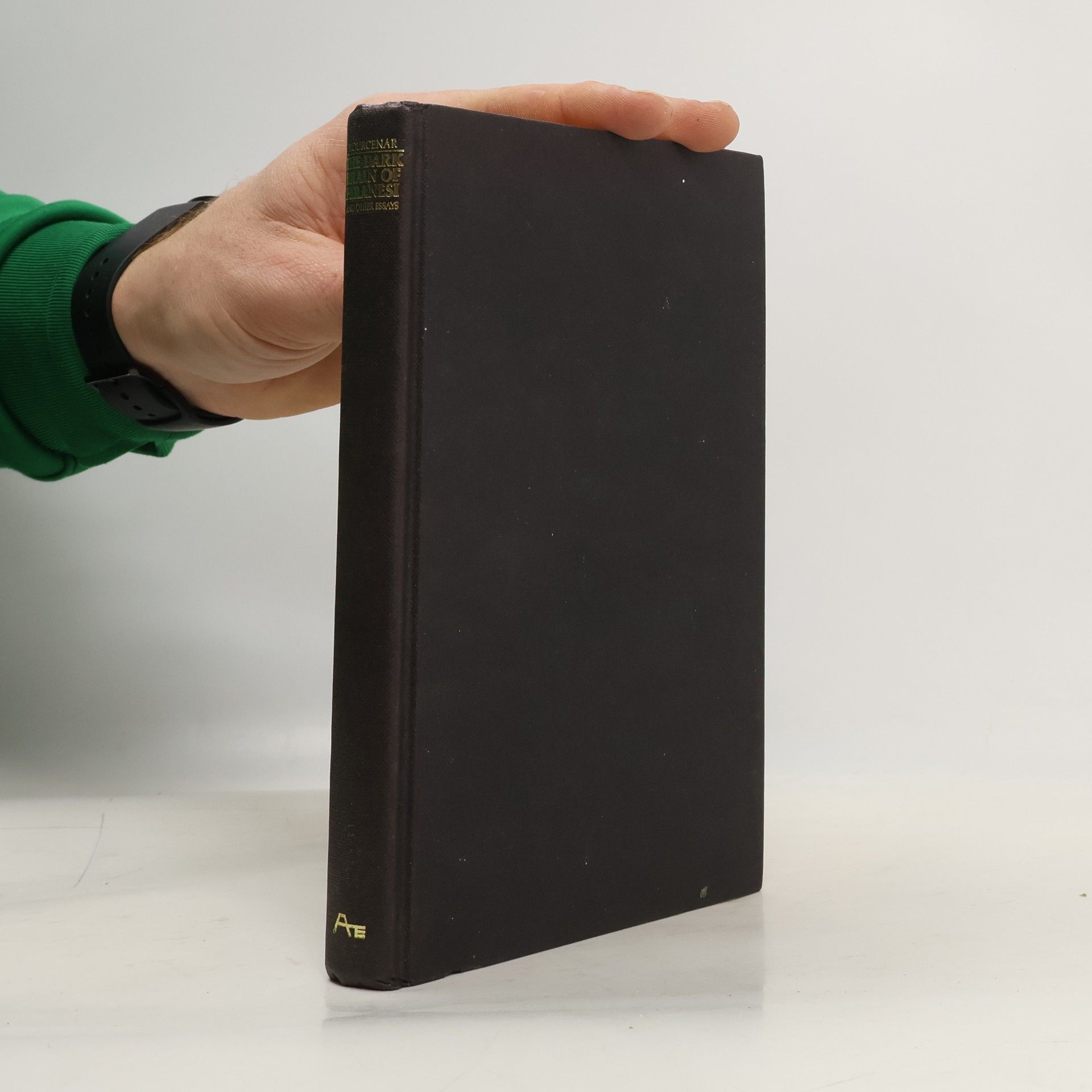 The Dark Brain of Piranesi and Other Essays