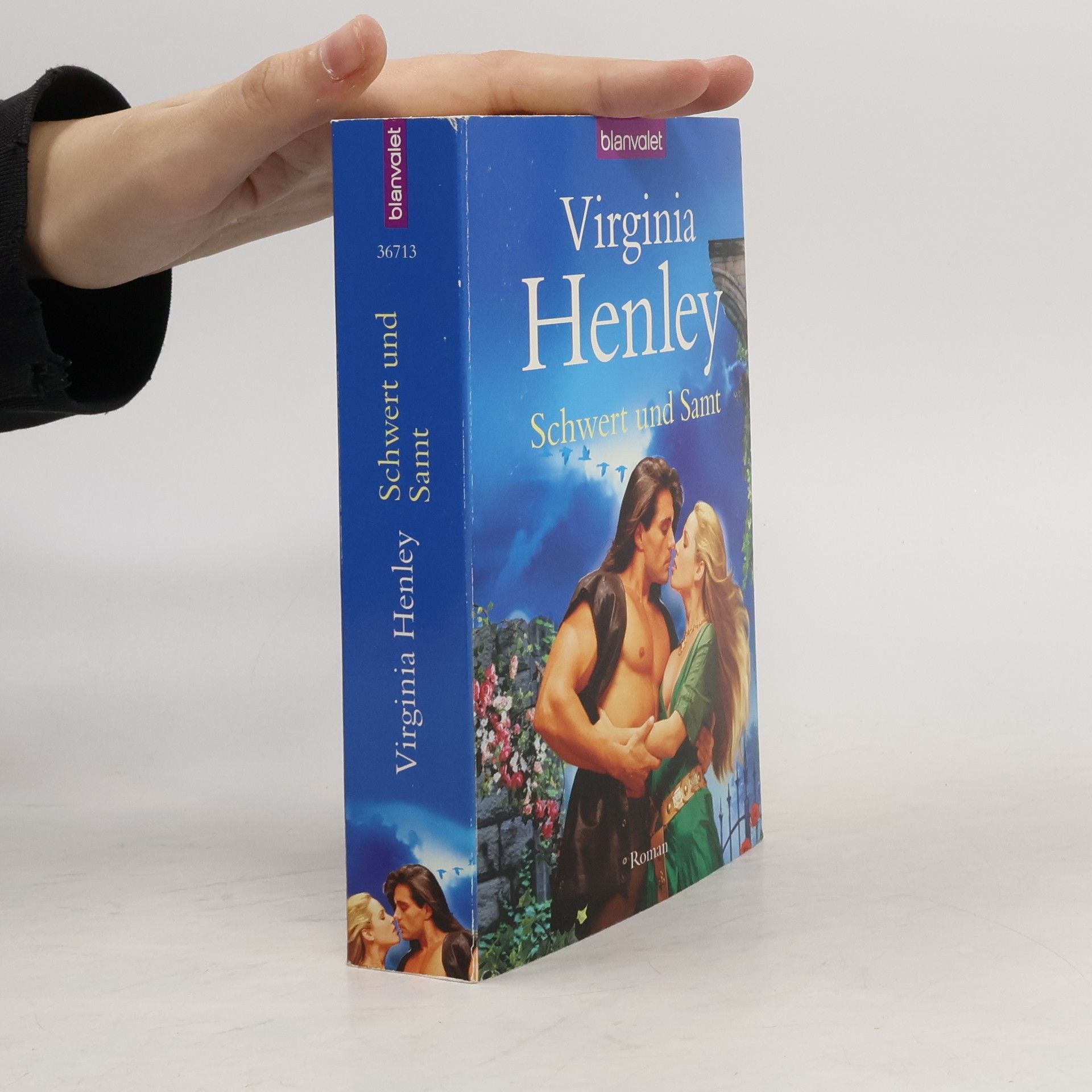 Virginia Henley Schwert und Samt