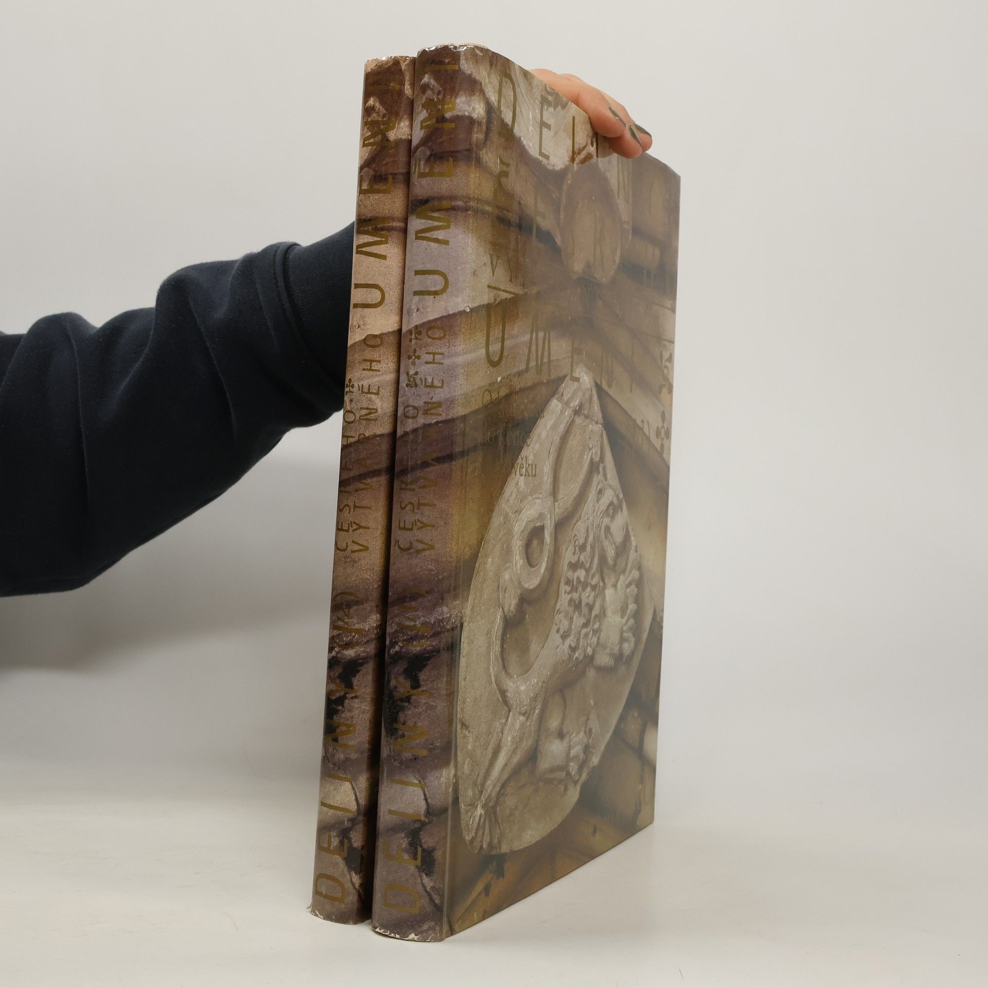 AA.VV. Dějiny českého výtvarného umění I/1 a I/2