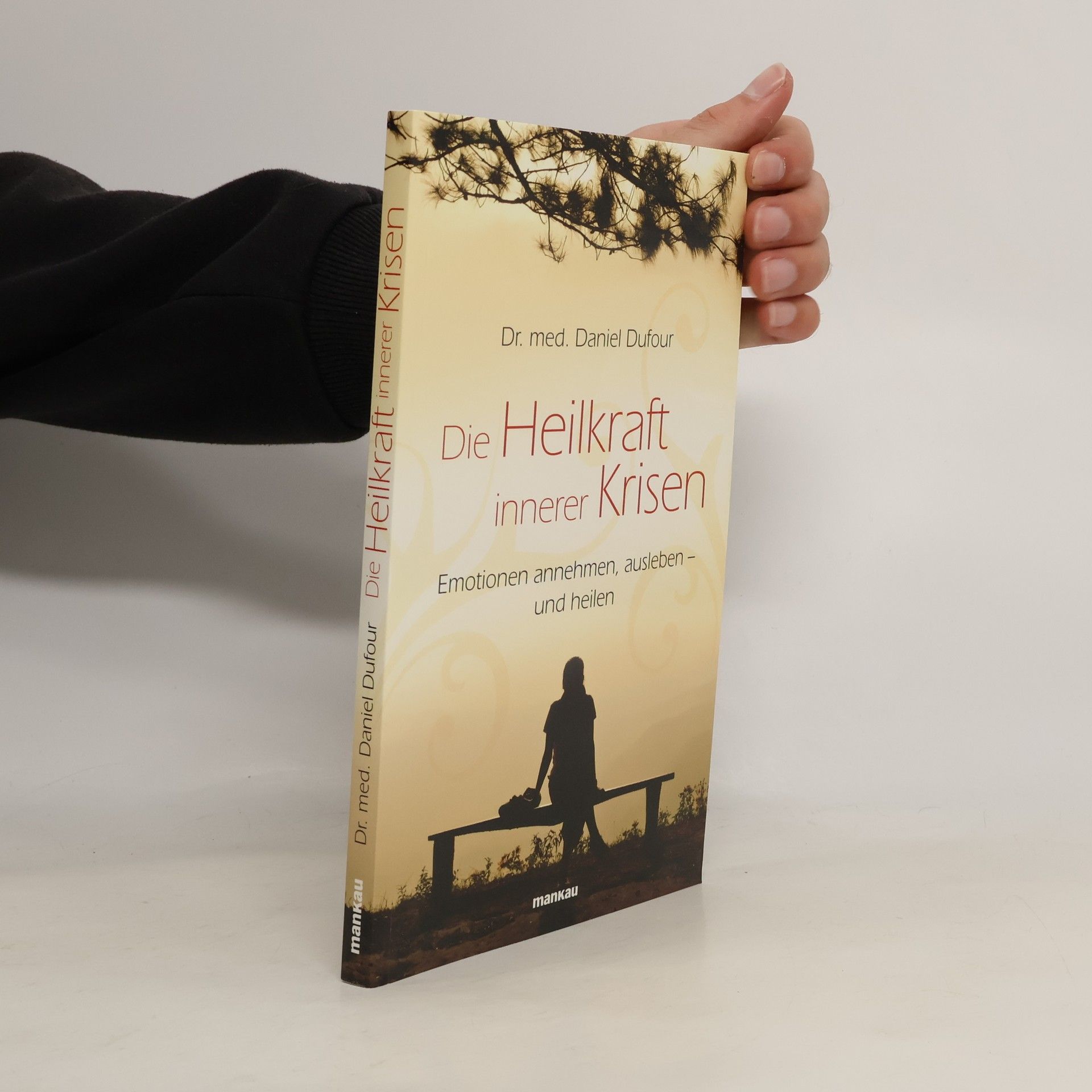 Dr. med. Daniel Dufour Die Heilkraft innerer Krisen