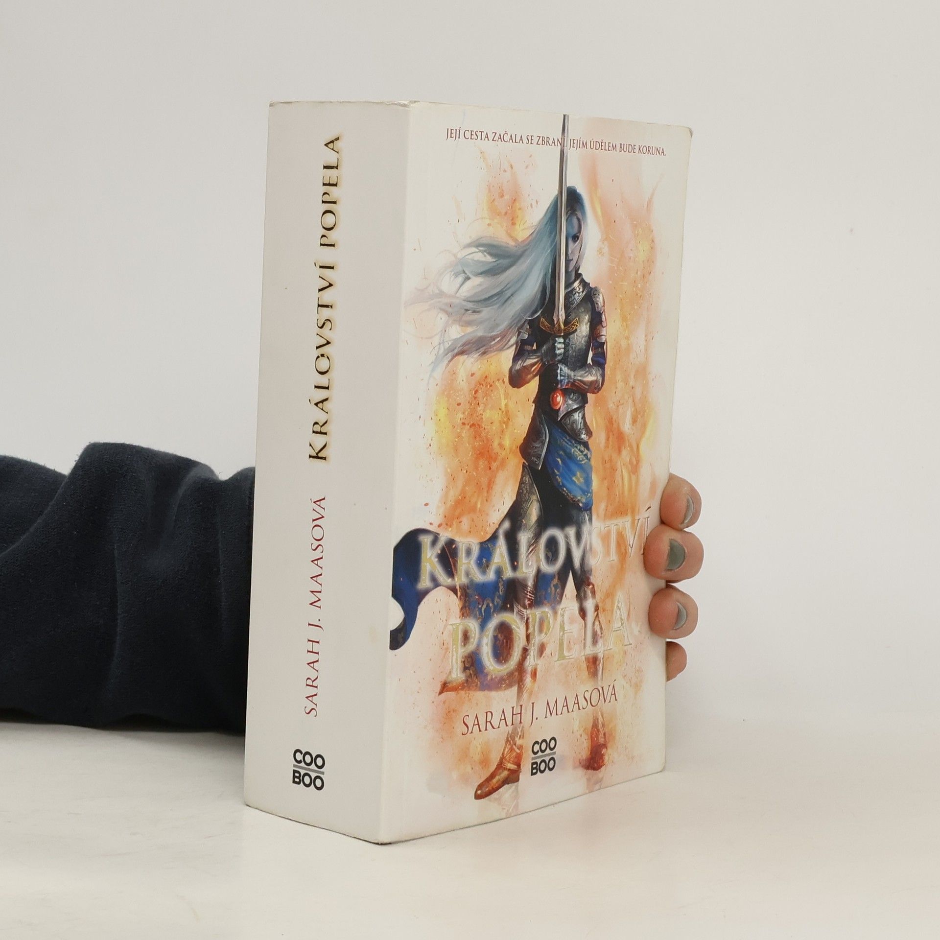 Sarah J. Maasová Království popela