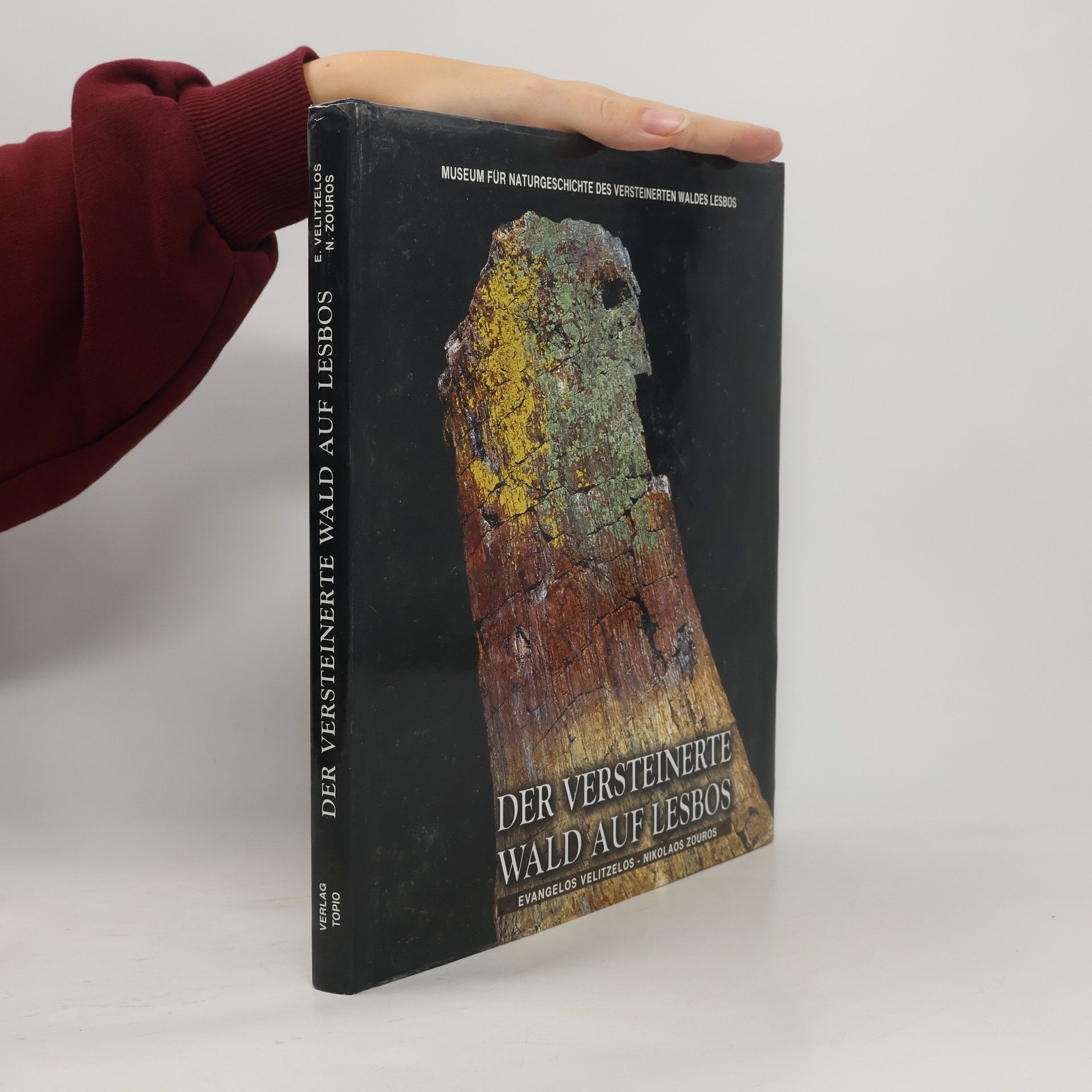 Evangelos Velitzelos Der versteinerte Wald auf Lesbos