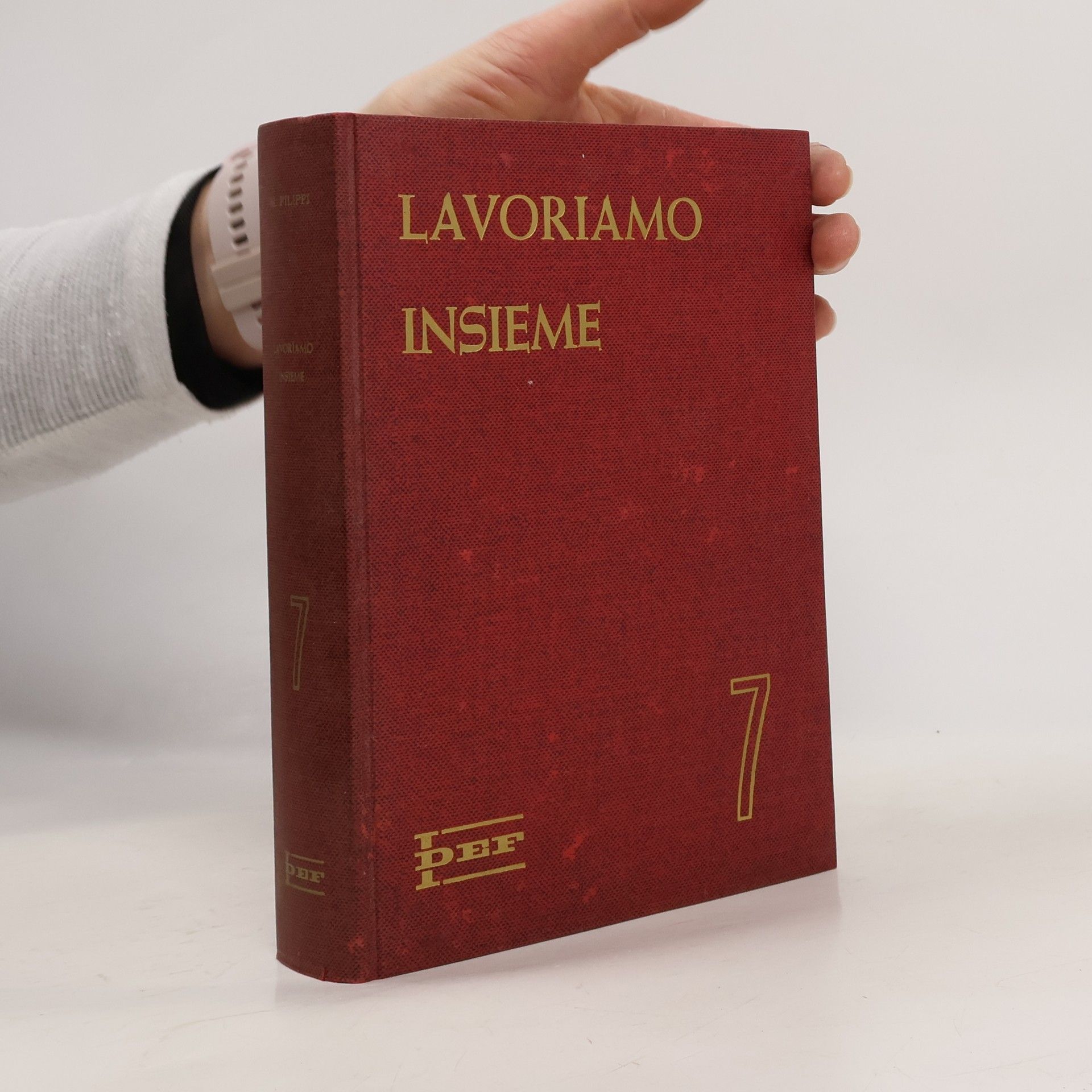 Margherita Filippi Lavoriamo insieme