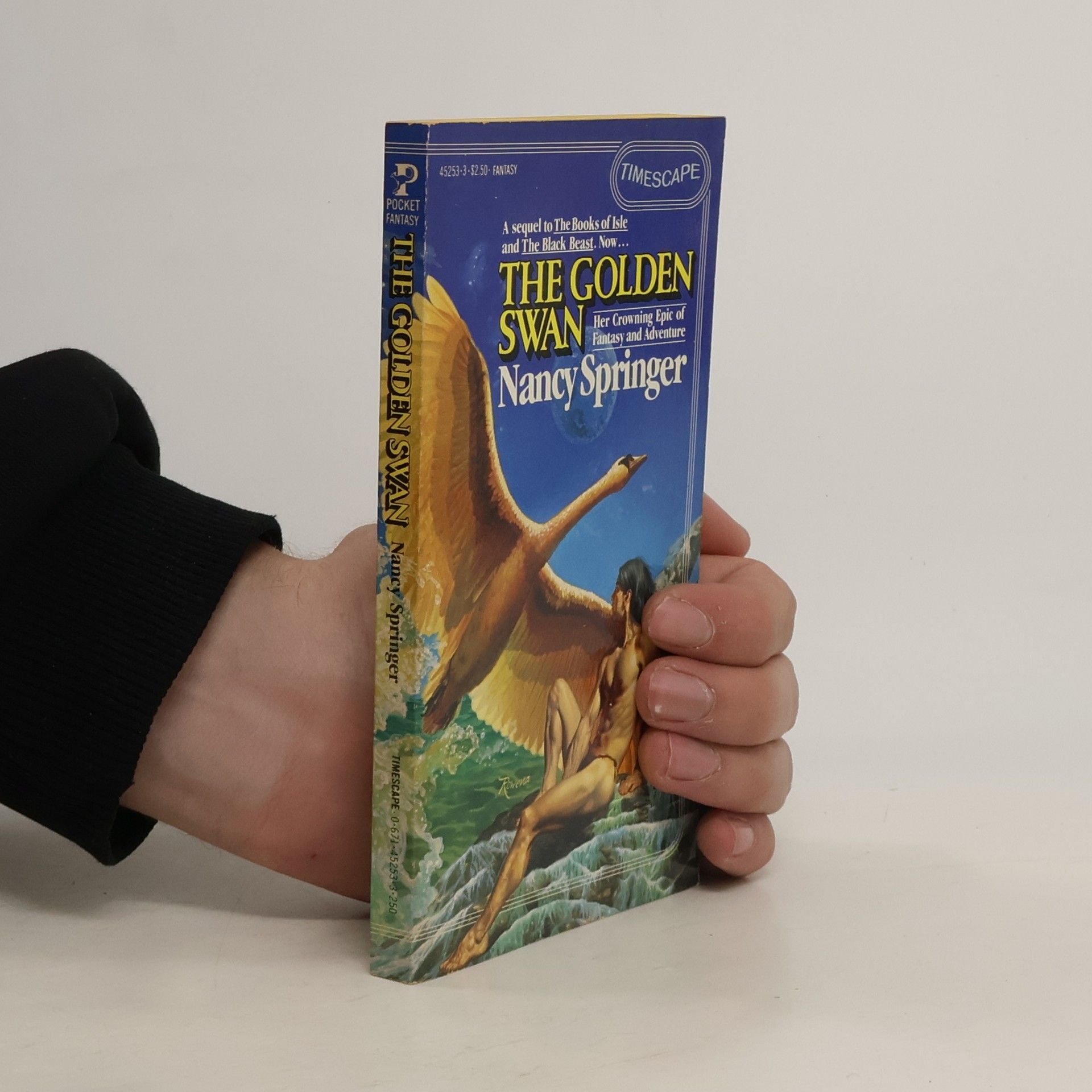 Nancy Springer The Book of Isle - 5: The Golden Swan