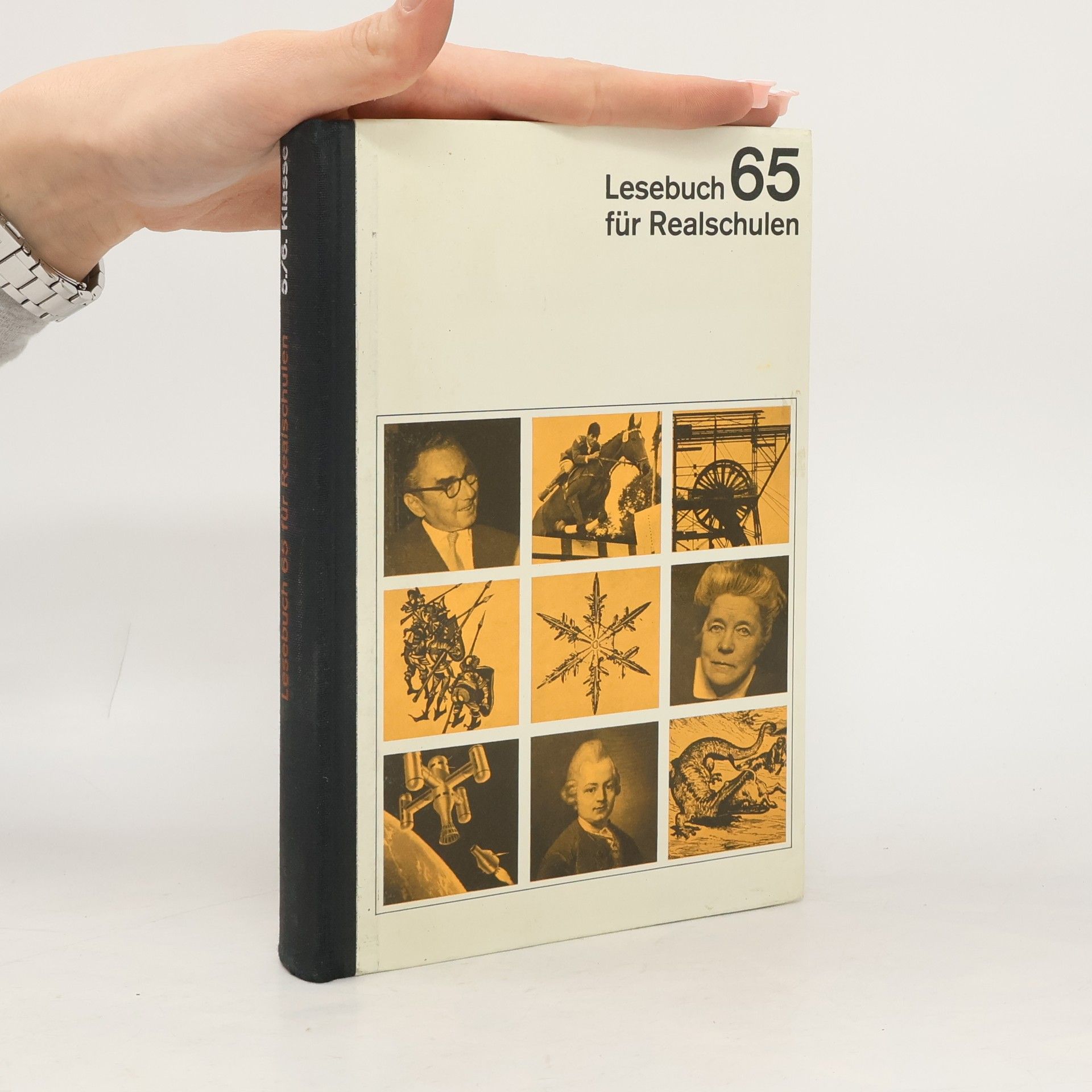 Kolektív autorov Lesebuch für Realschulen 65