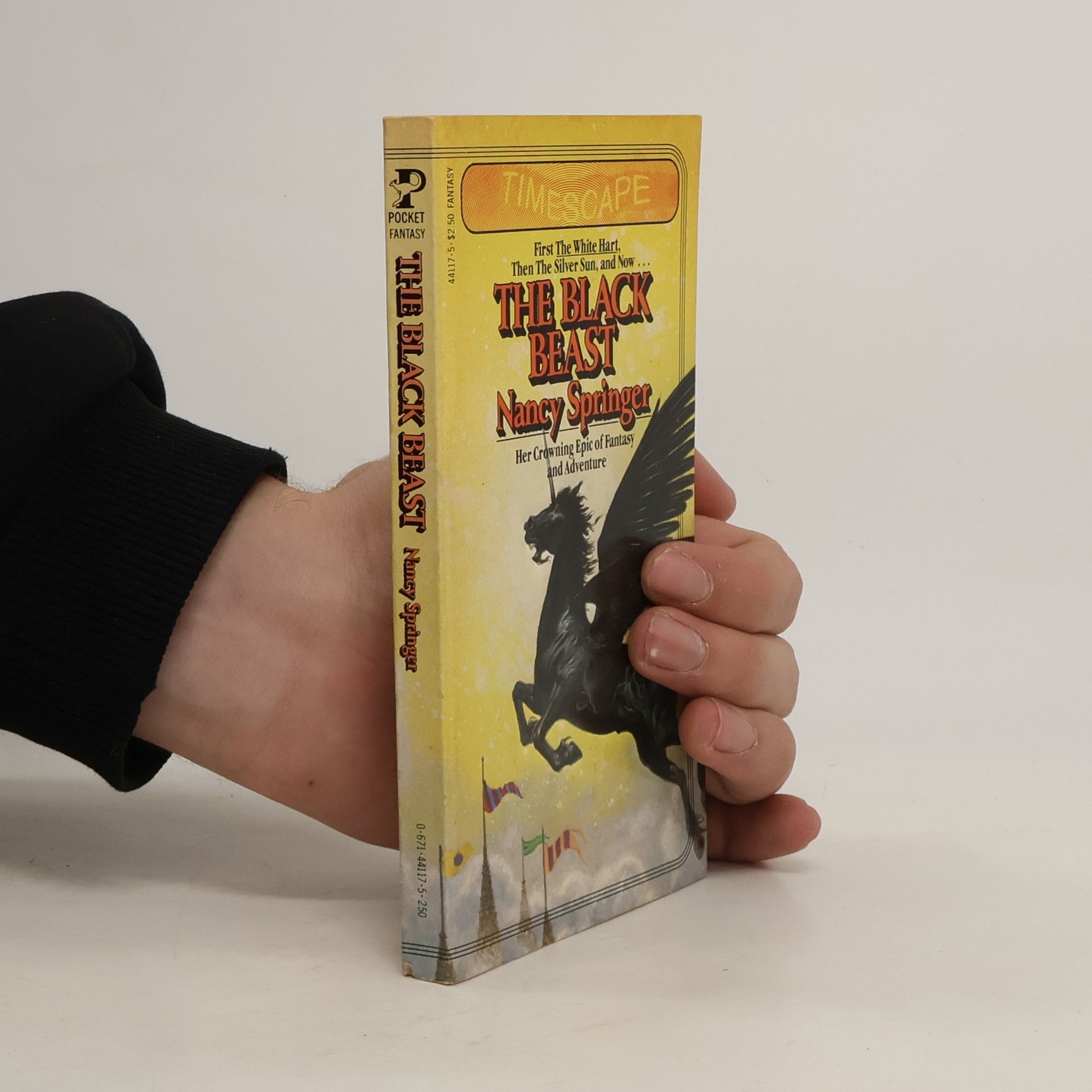 Nancy Springer The Book of Isle - 4: The Black Beast