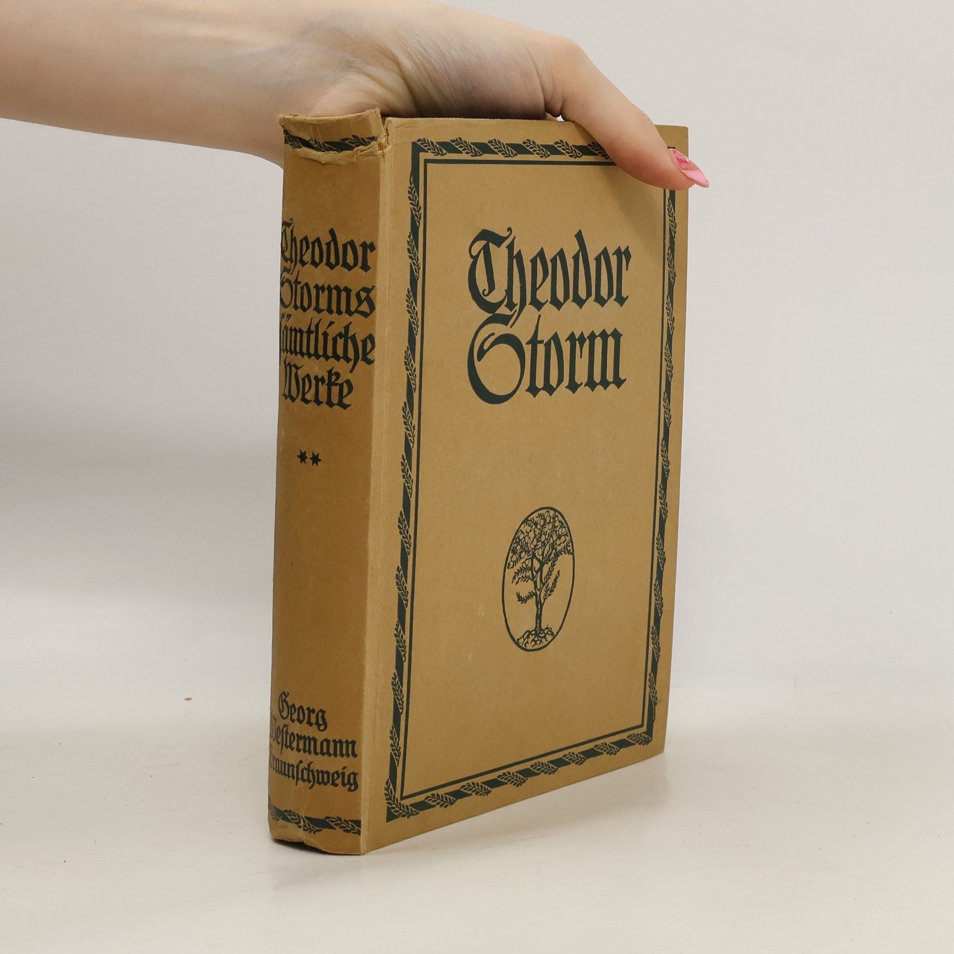 Hans Theodor Woldsen Storm Sämtliche Werke 2