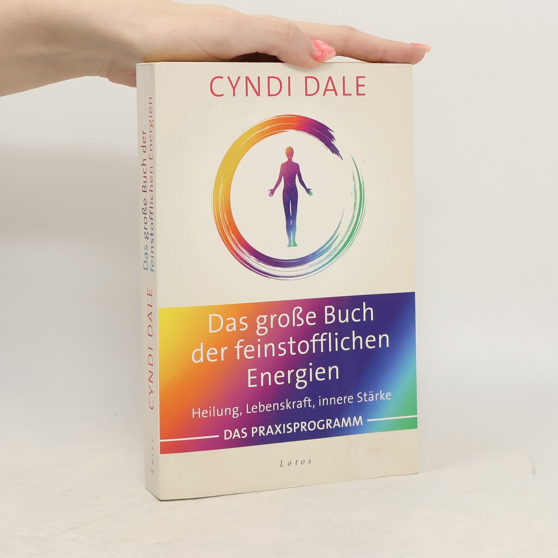 Cyndi Dale Das große Praxisbuch der feinstofflichen Energien