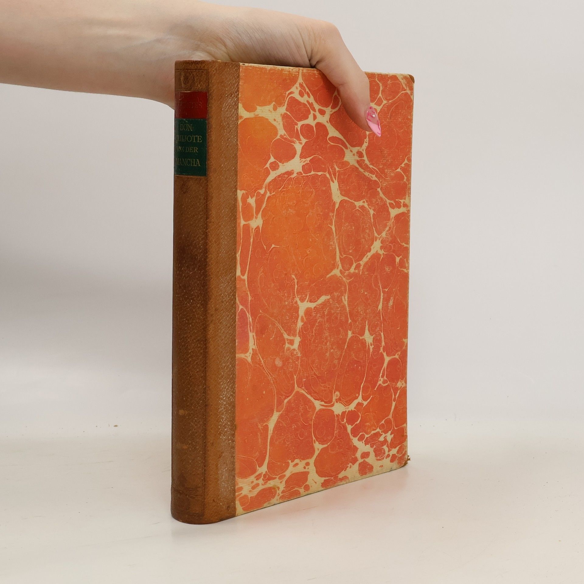 Der Sinnreiche Junker Don Quijote Von Der Mancha