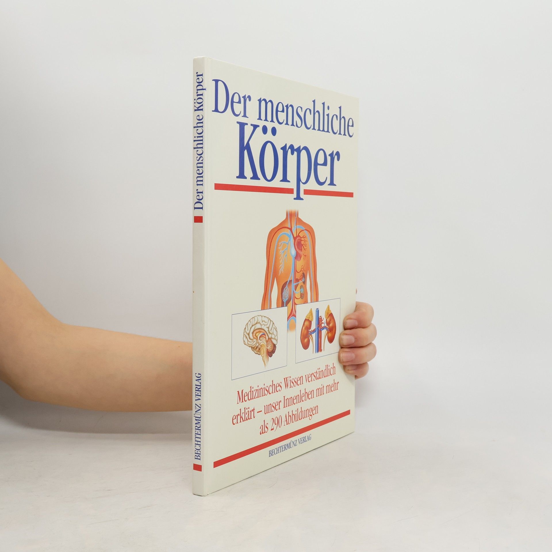 Der menschliche Körper