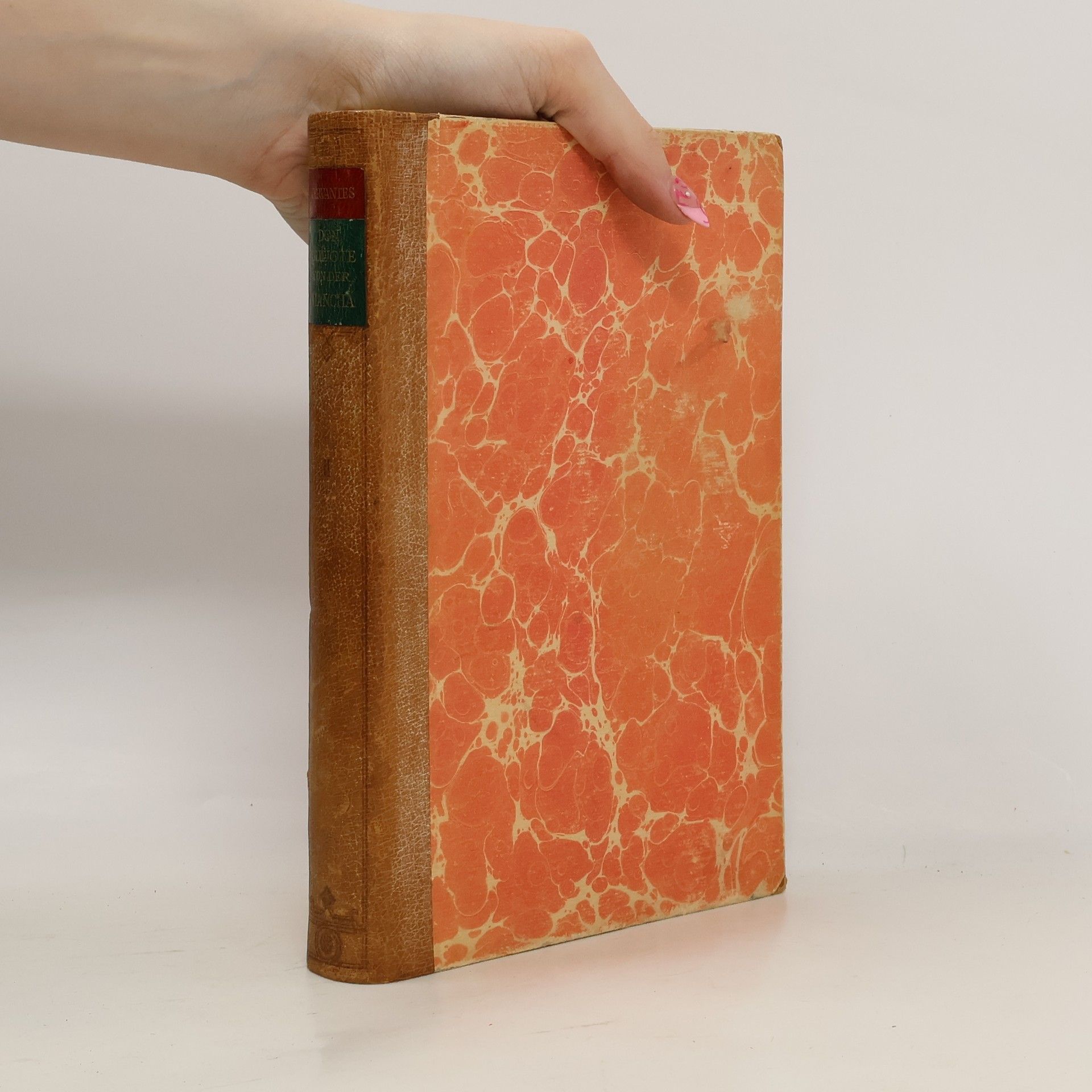 Der sinnreiche Junker Don Quijote von der Mancha II.