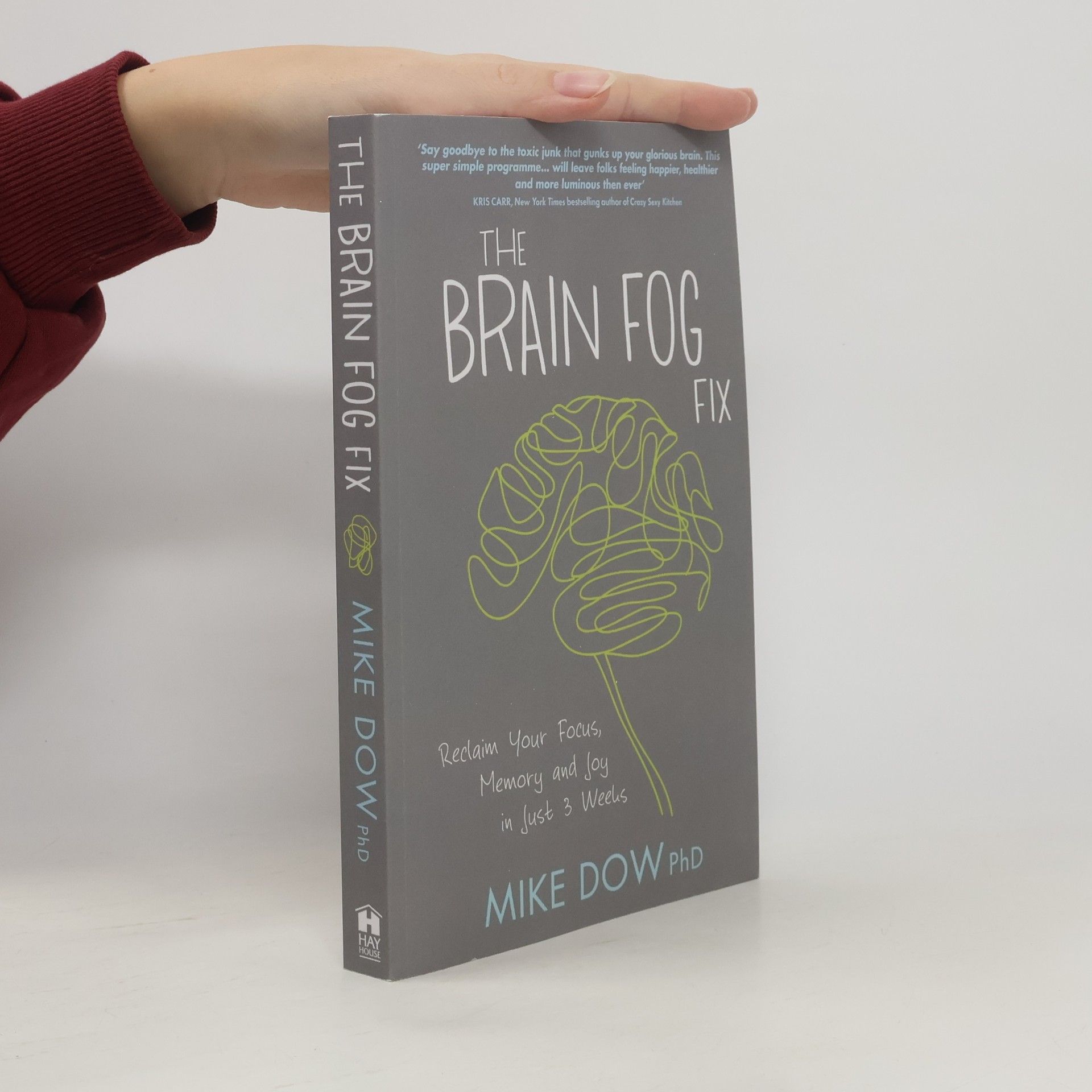 Mike Dow The Brain Fog Fix