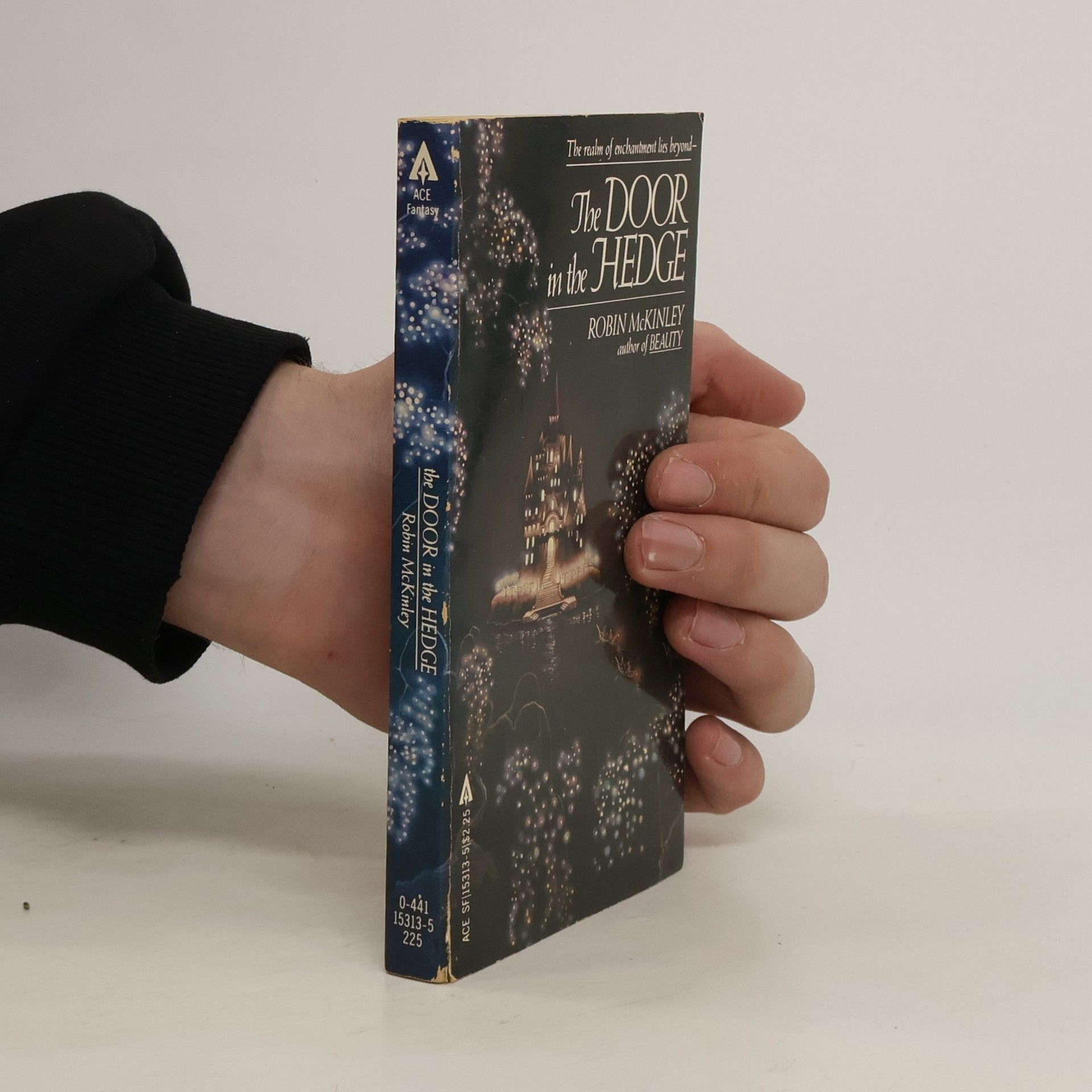 Robin McKinley The Door in the Hedge