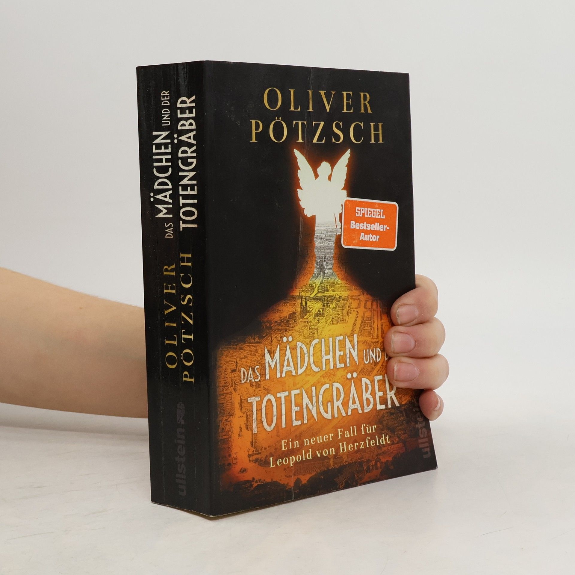Oliver Pötzsch Das Mädchen und der Totengräber