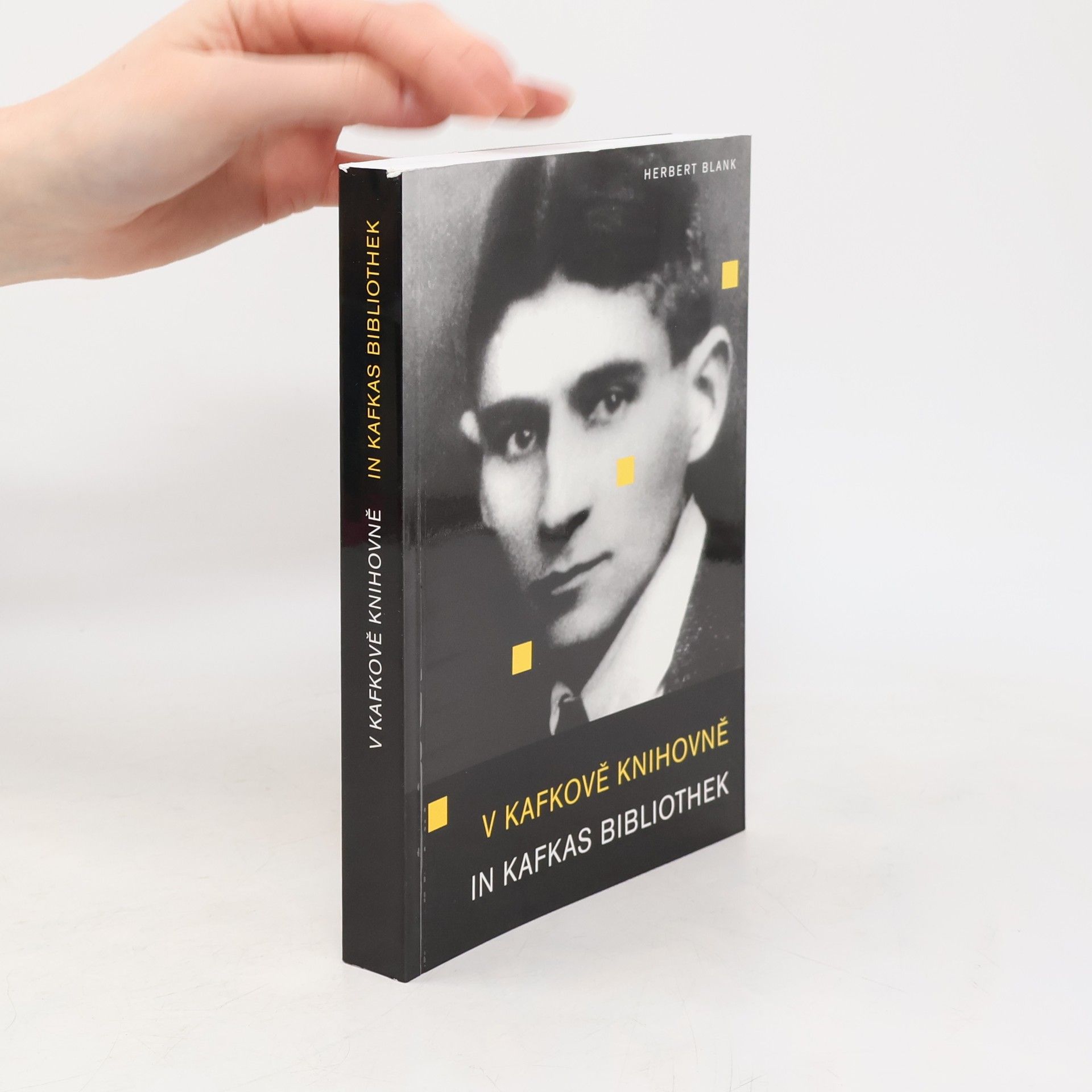 V Kafkově knihovně. In Kafkas Bibliothek