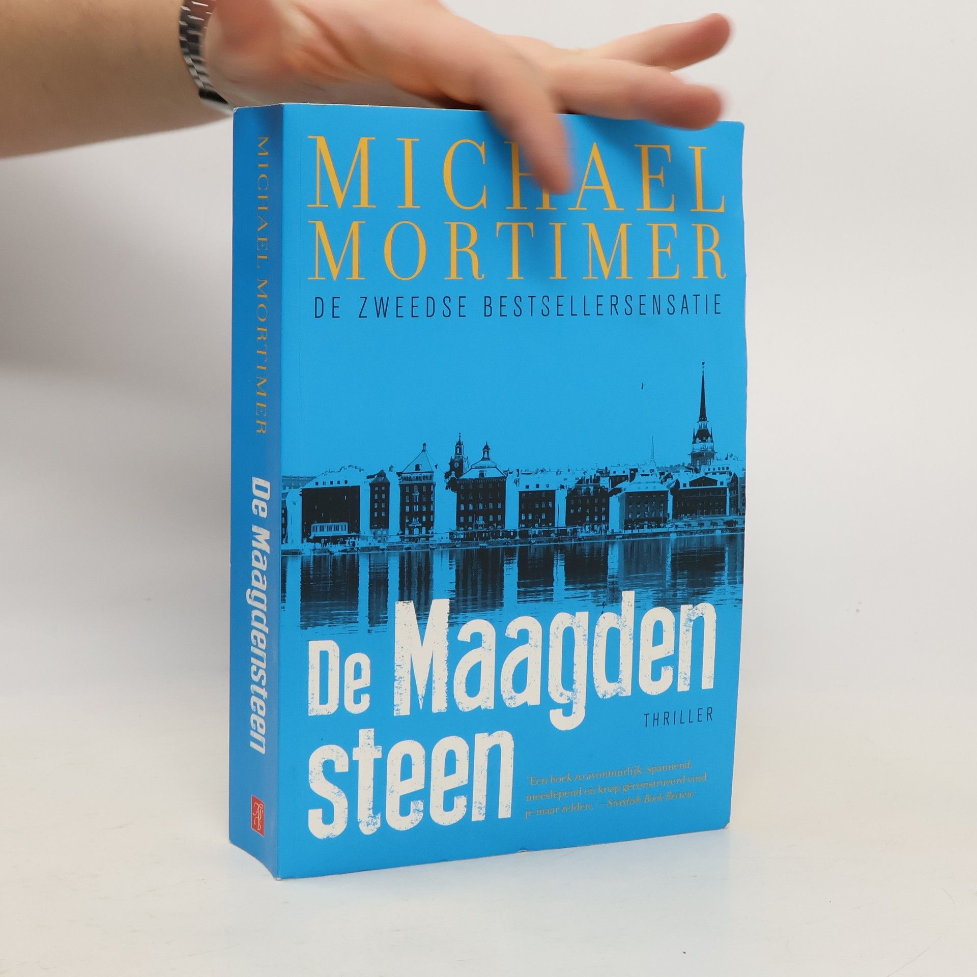 Michael Mortimer De maagdensteen