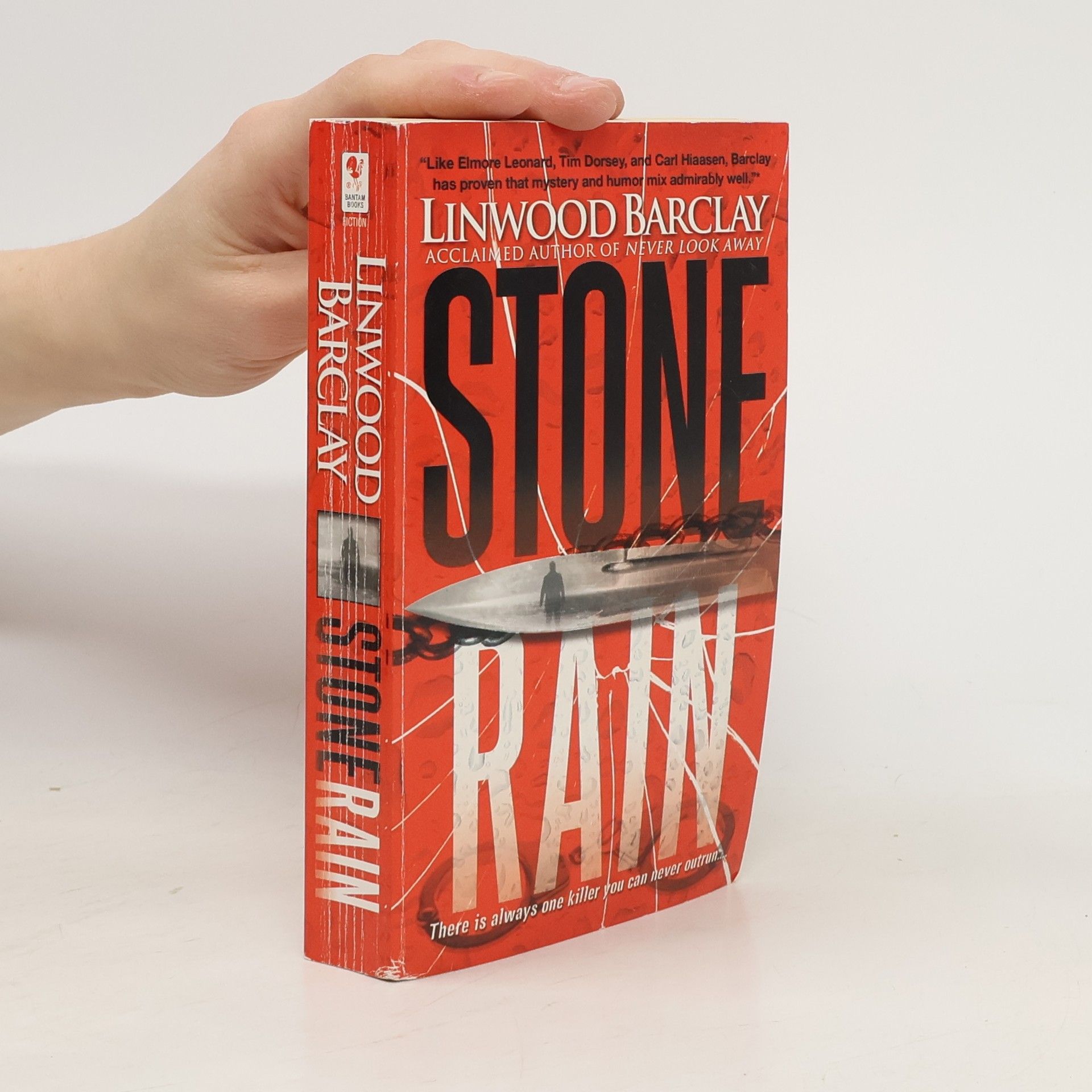 Linwood Barclay Stone Rain