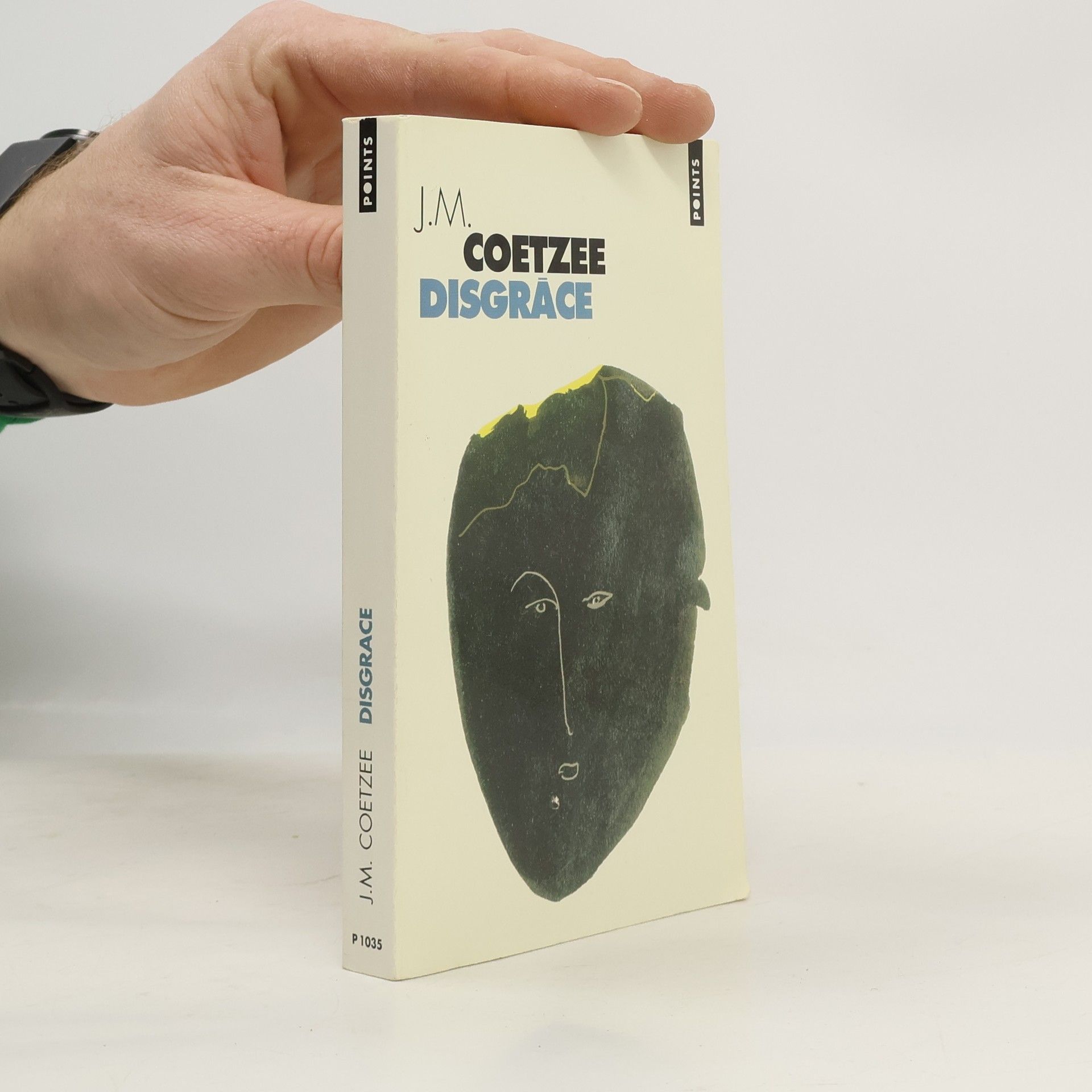 J. M. Coetzee Disgrâce