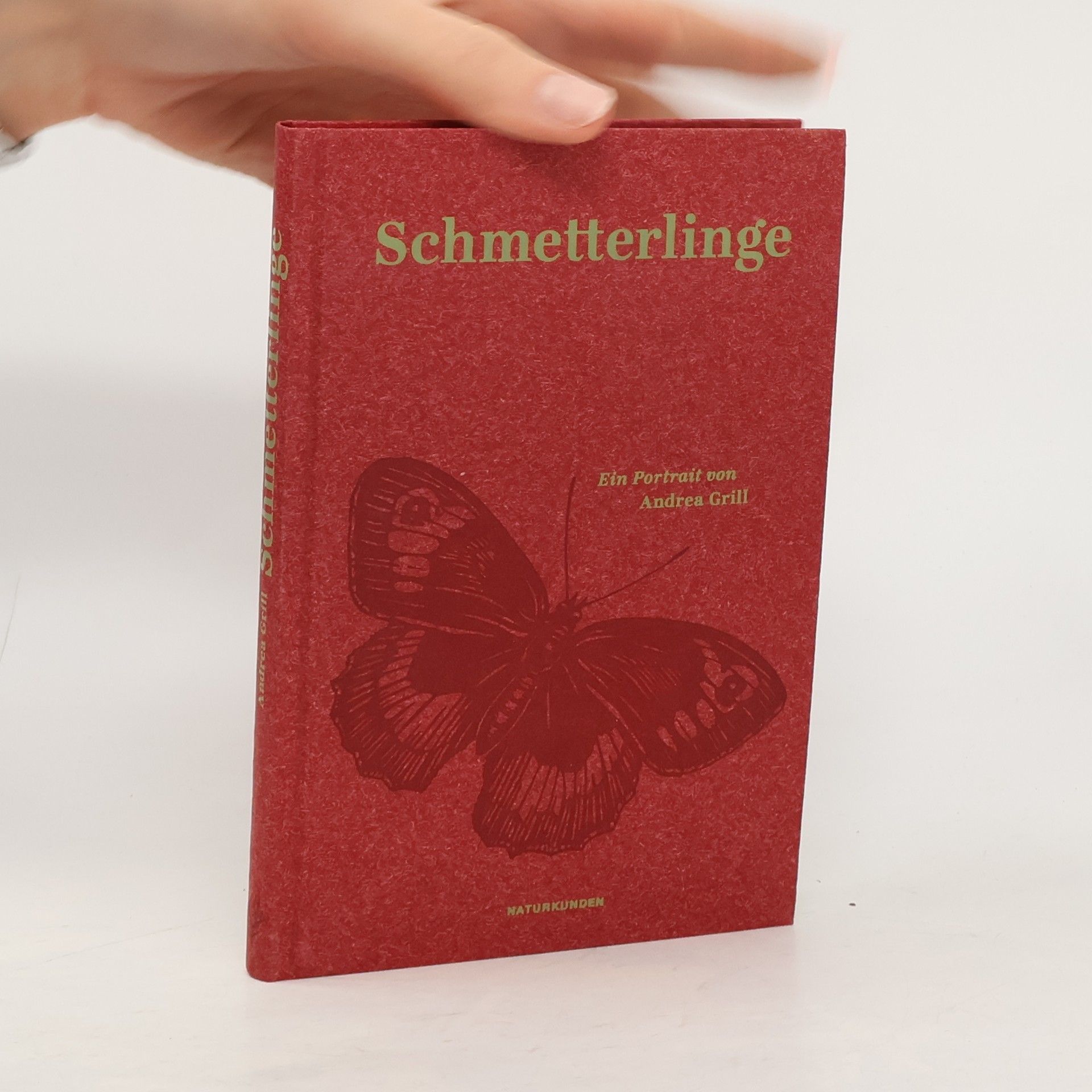 Andrea Grill Schmetterlinge