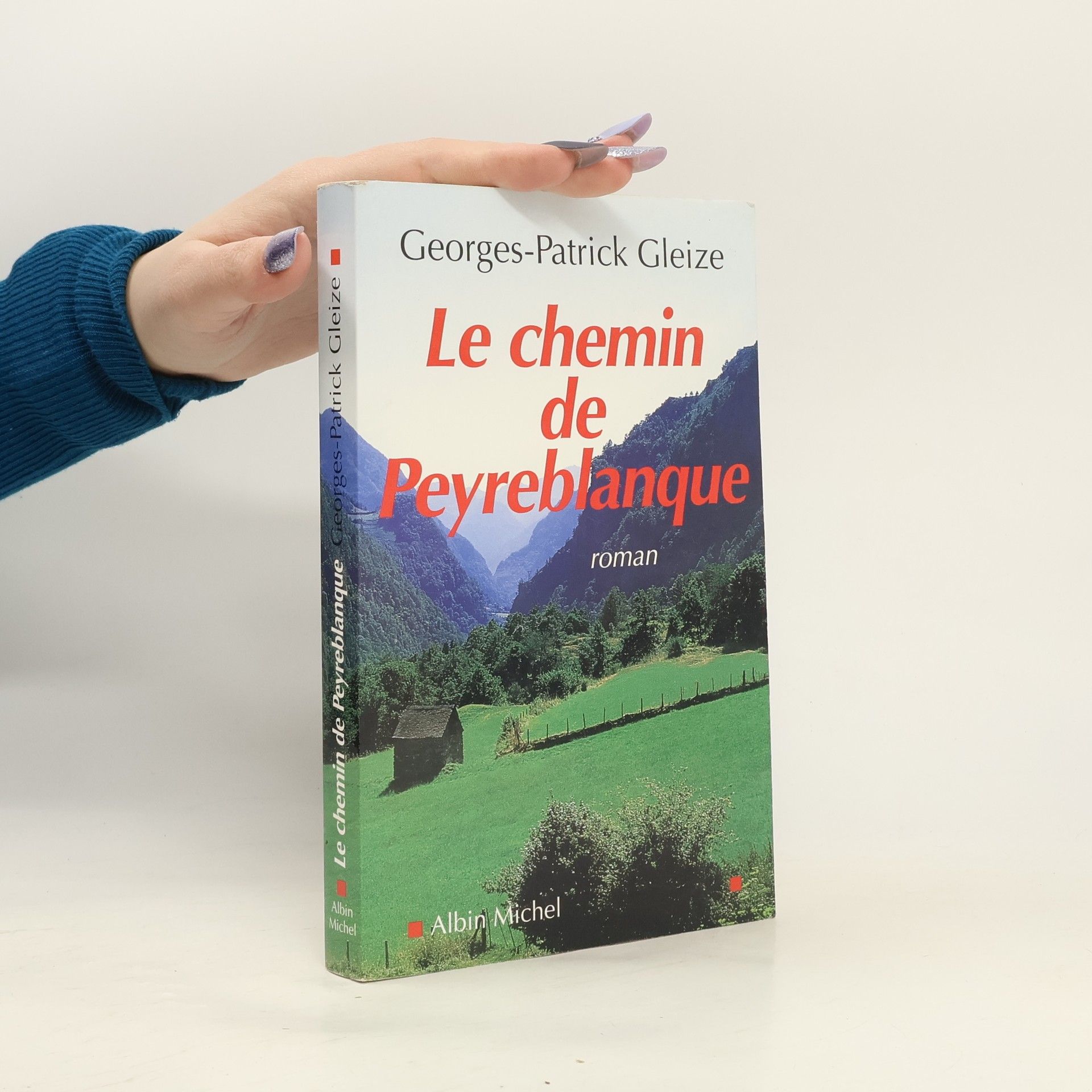 Georges-Patrick Gleize Le Chemin de Peyreblanque