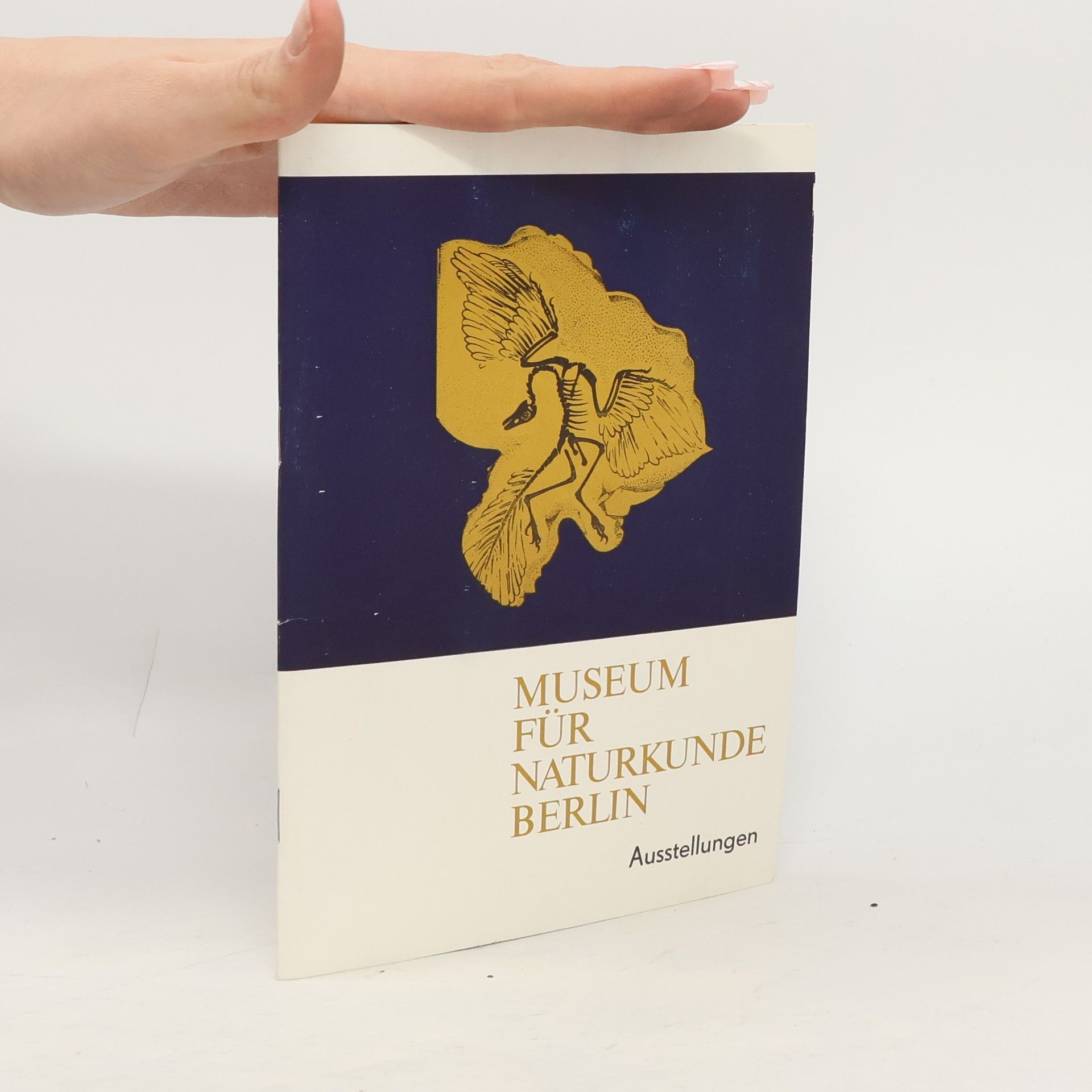 AA.VV. Wegweiser durch die Ausstellungen