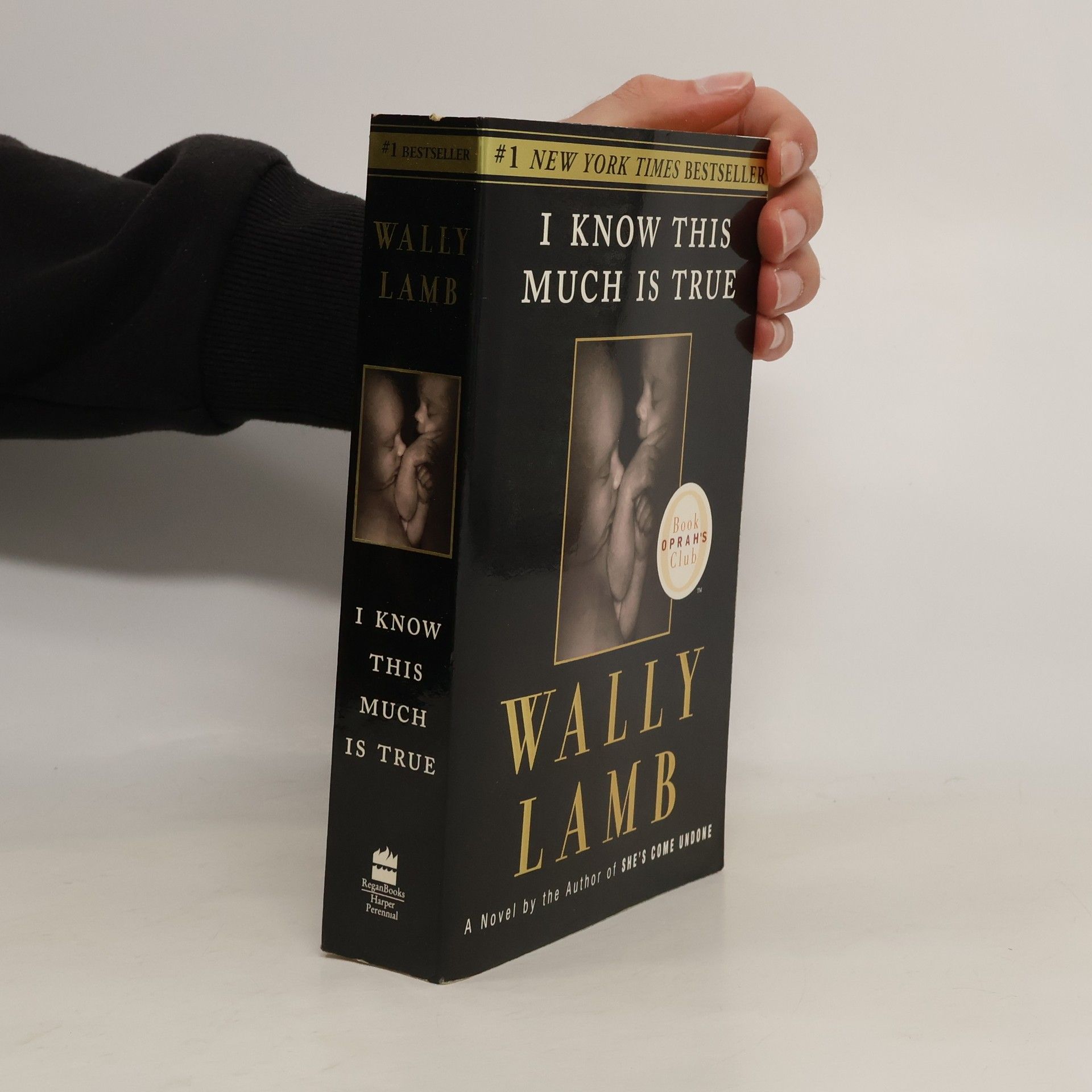 Wally Lamb I know this much is true