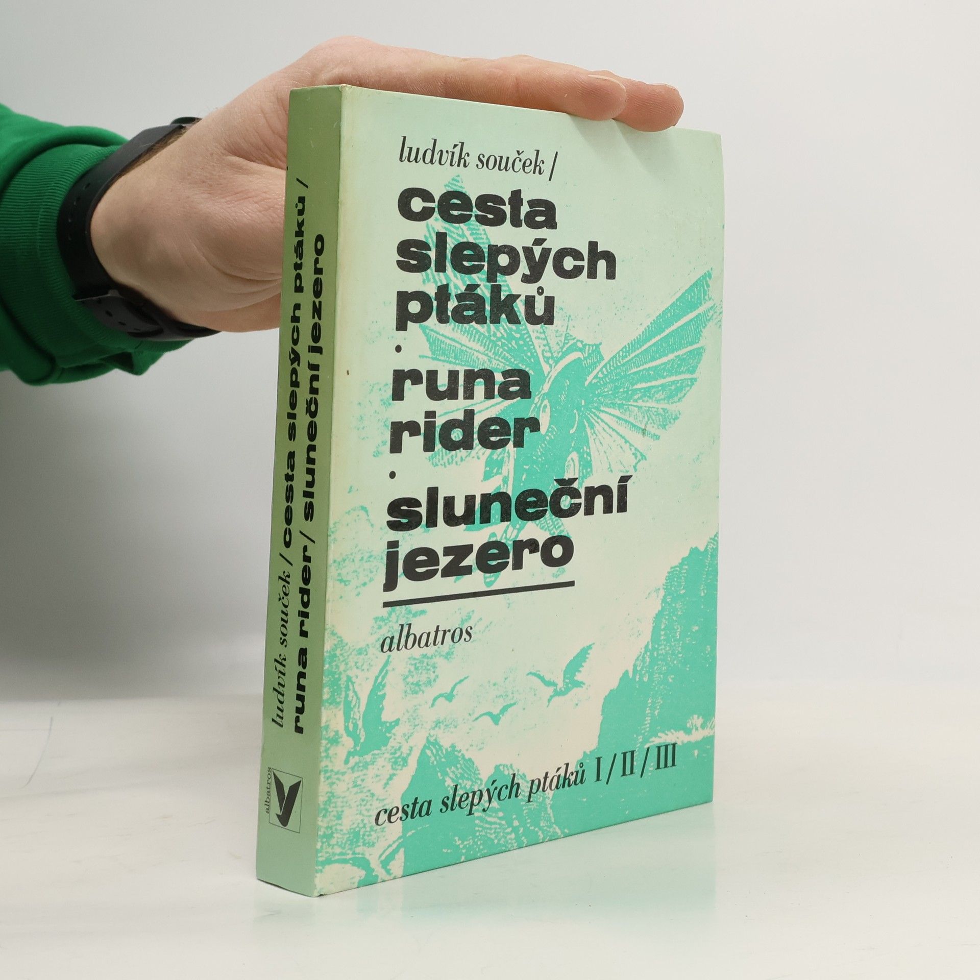 Ludvík Souček Cesta slepých ptáků, Runa rider, Sluneční jezero