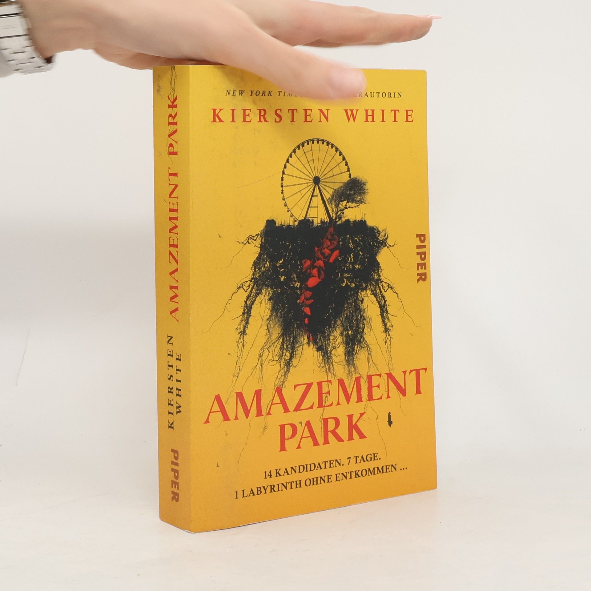 Kiersten White Amazement Park