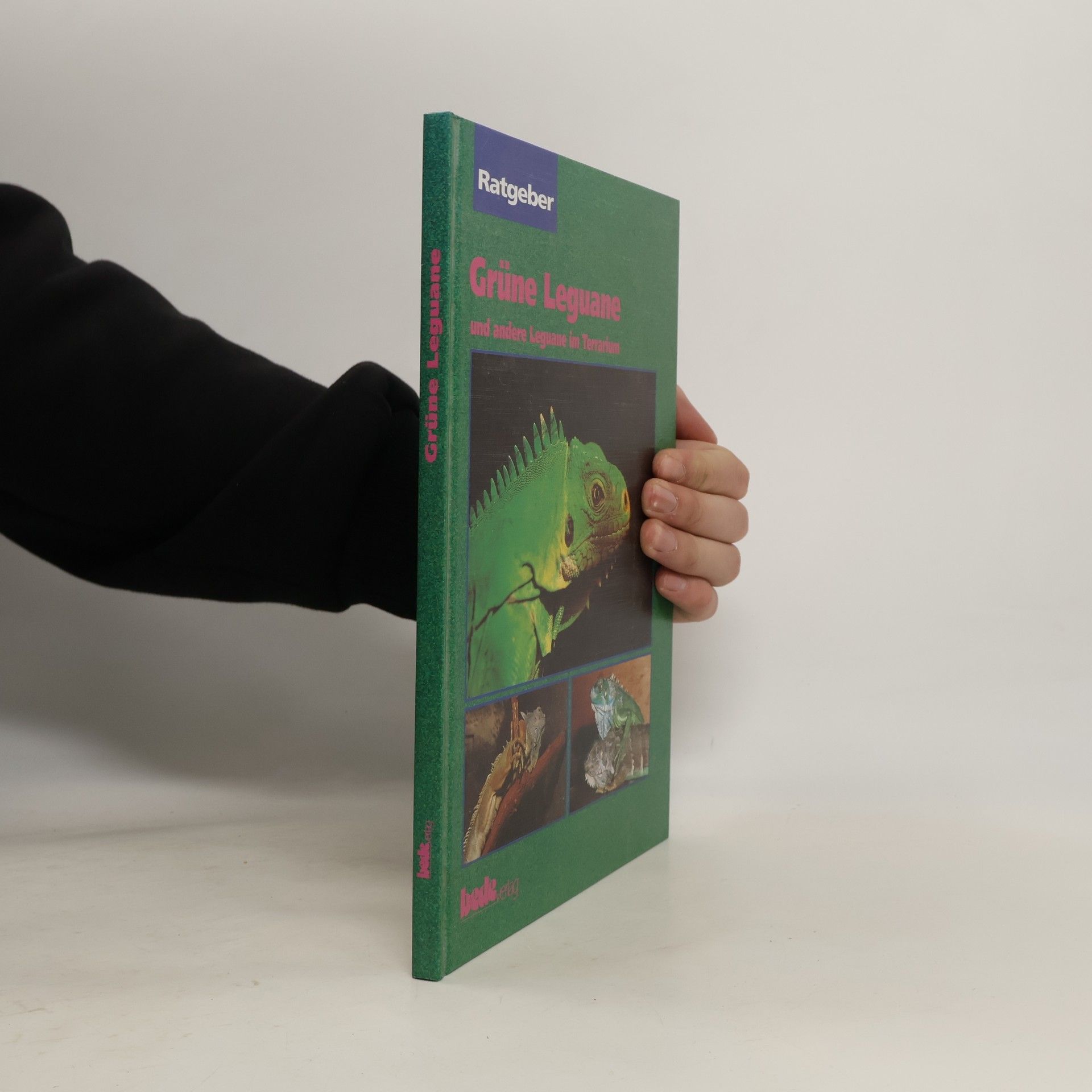 Shelly K. Ferrel Ratgeber: Grüne Leguane