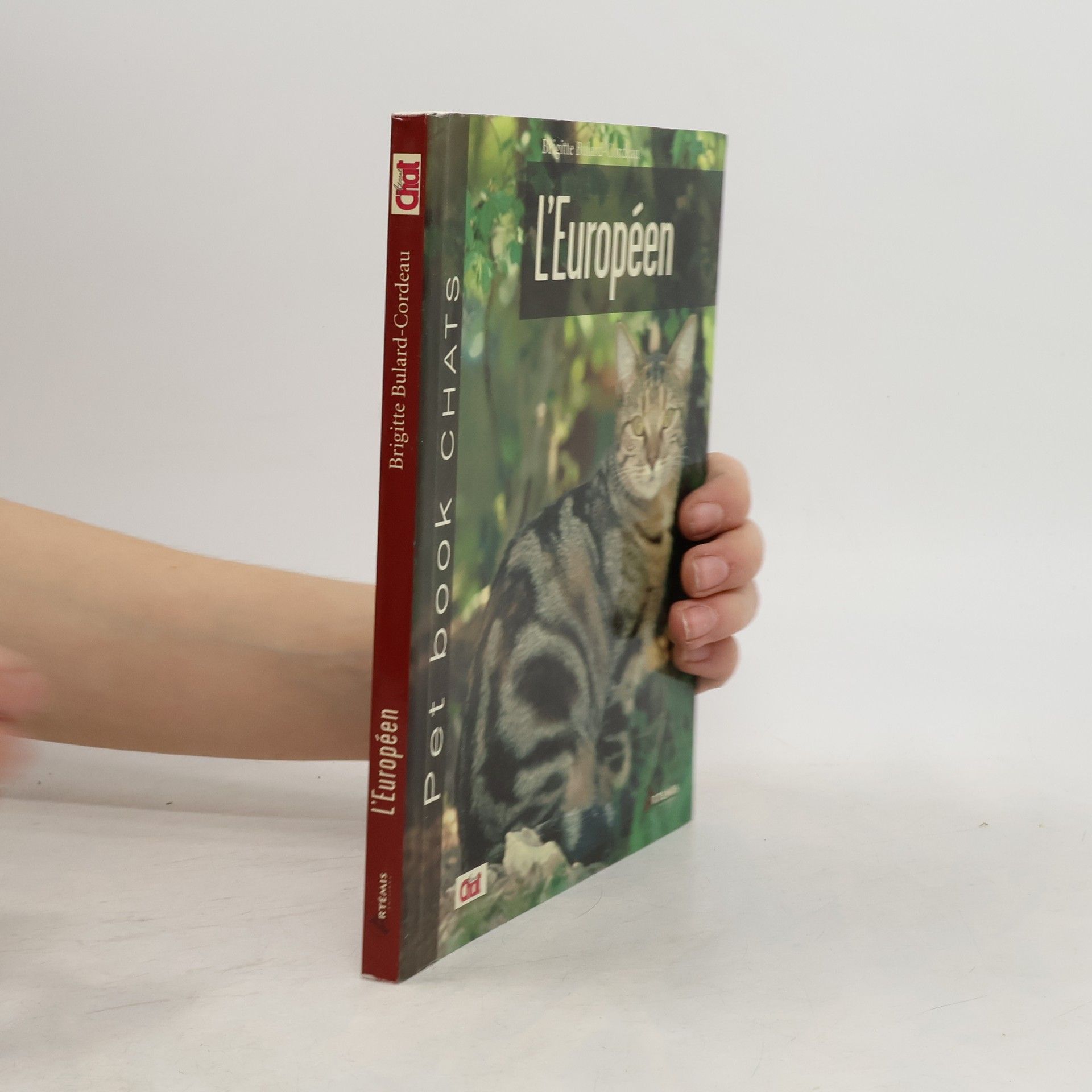 Pet book Chats: L'Européen