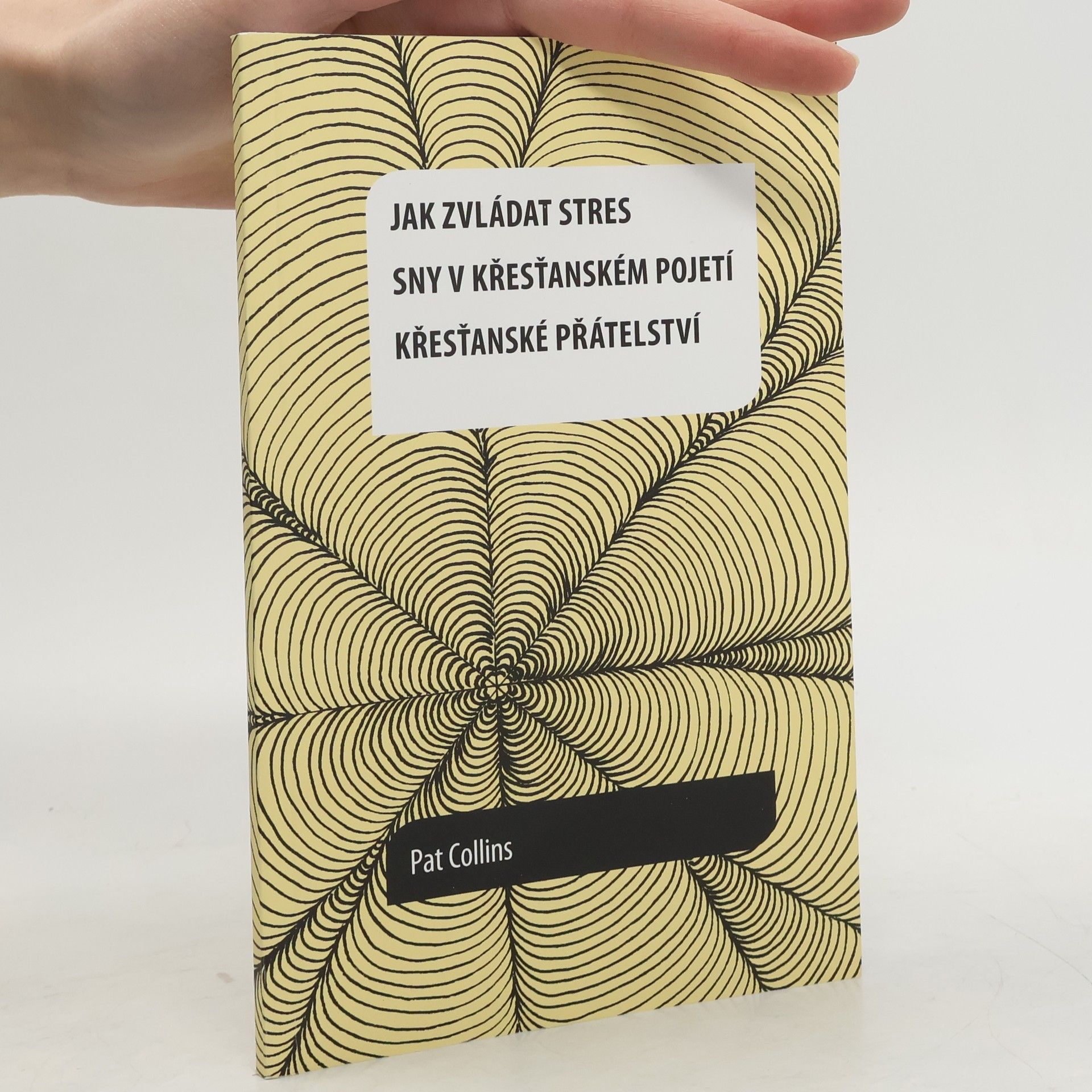 Jak zvládat stres; Sny v křesťanském pojetí, křesťanské přátelství