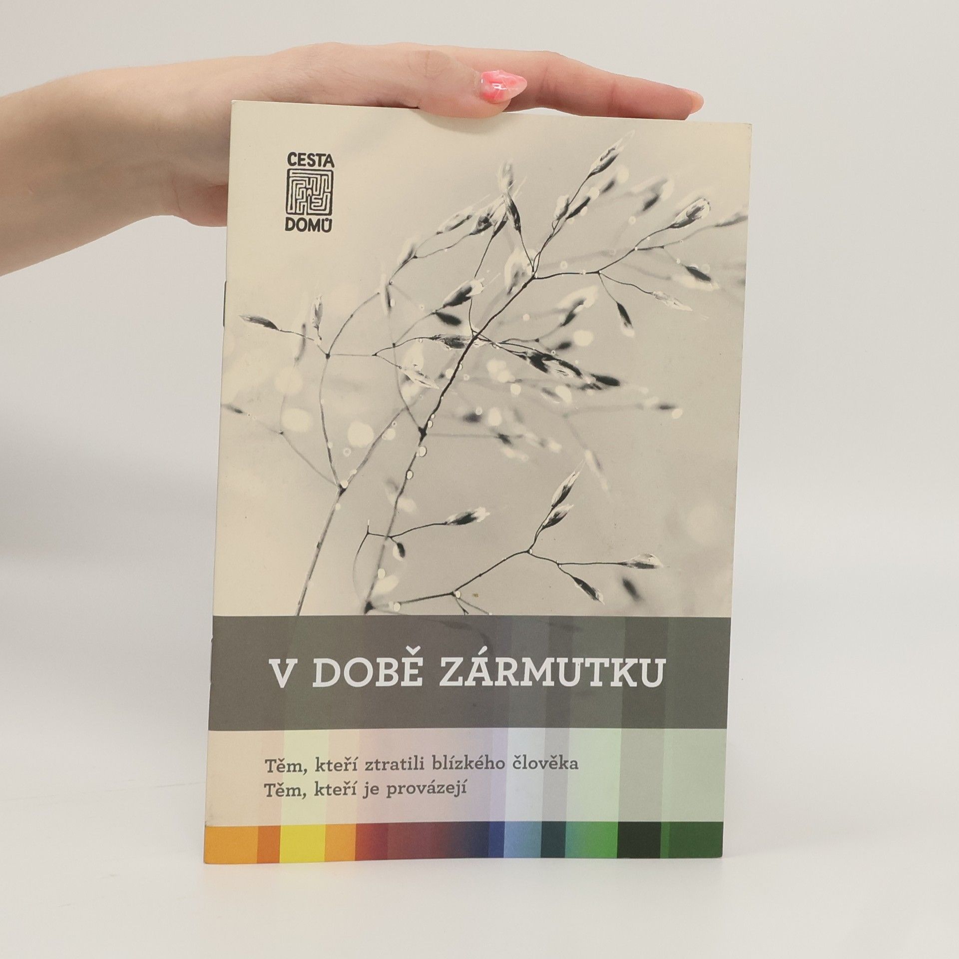 Daniela Tausch Flammer V době zármutku