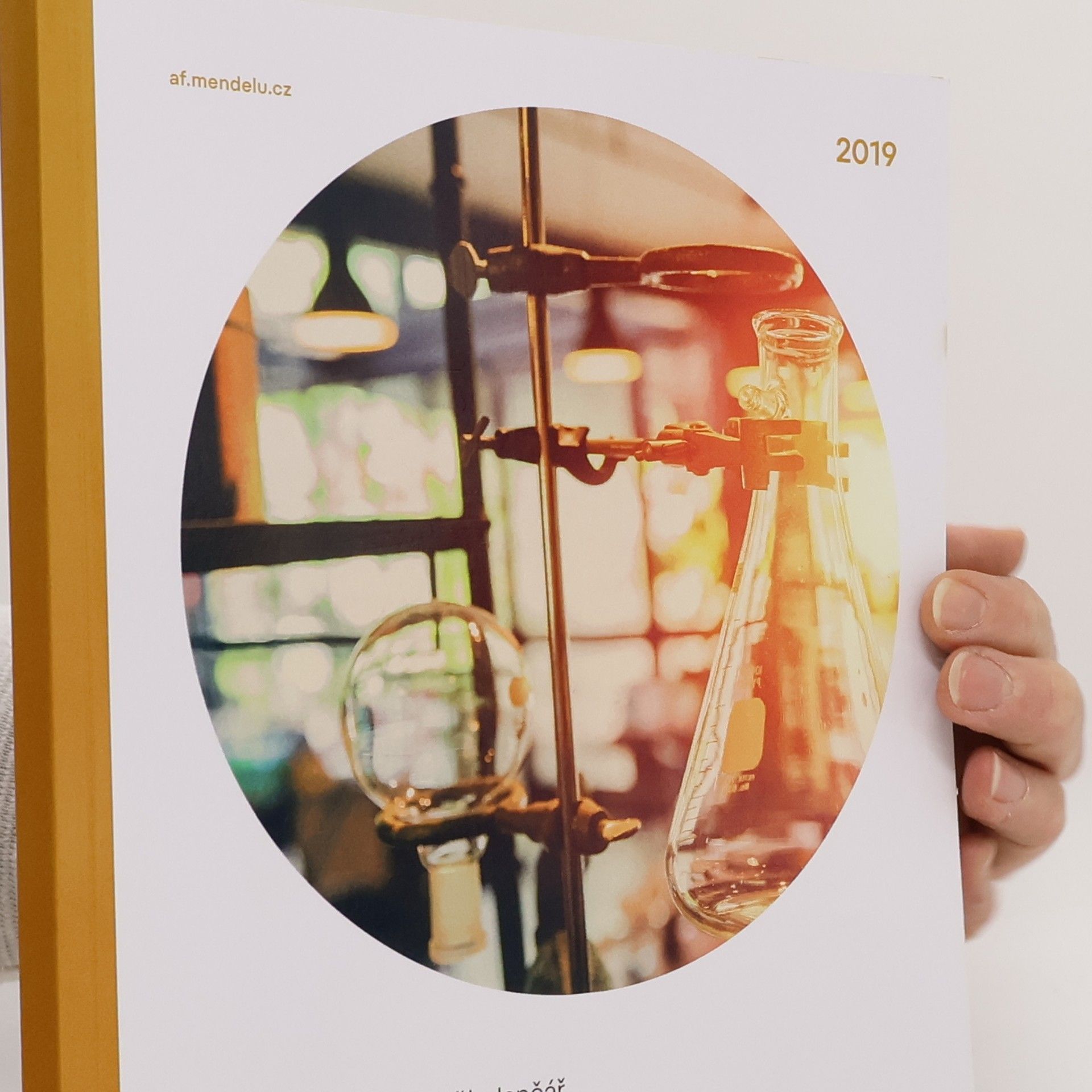 Anorganická a analytická chemie : laboratorní cvičení