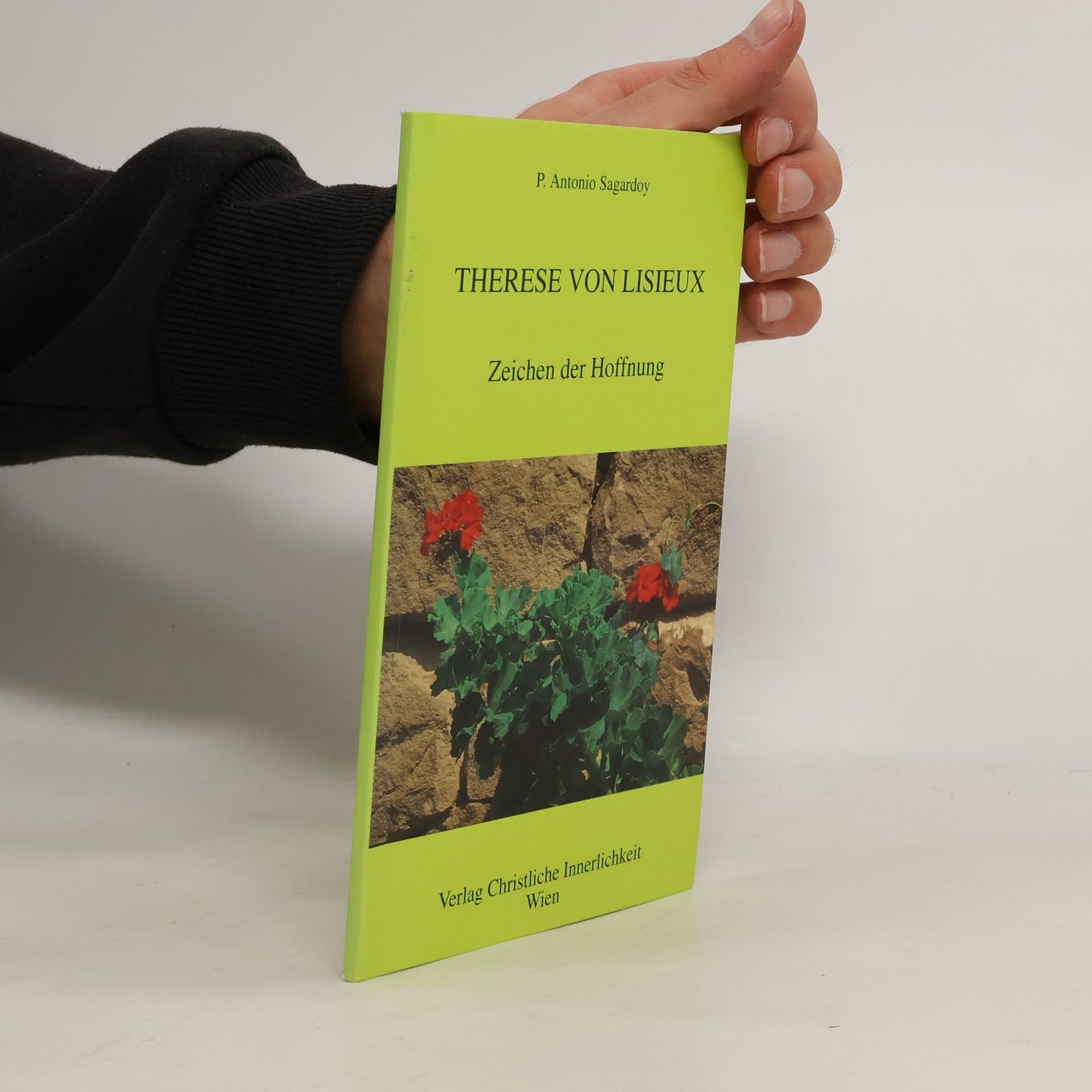 Antonio Sagardoy Therese von Lisieux