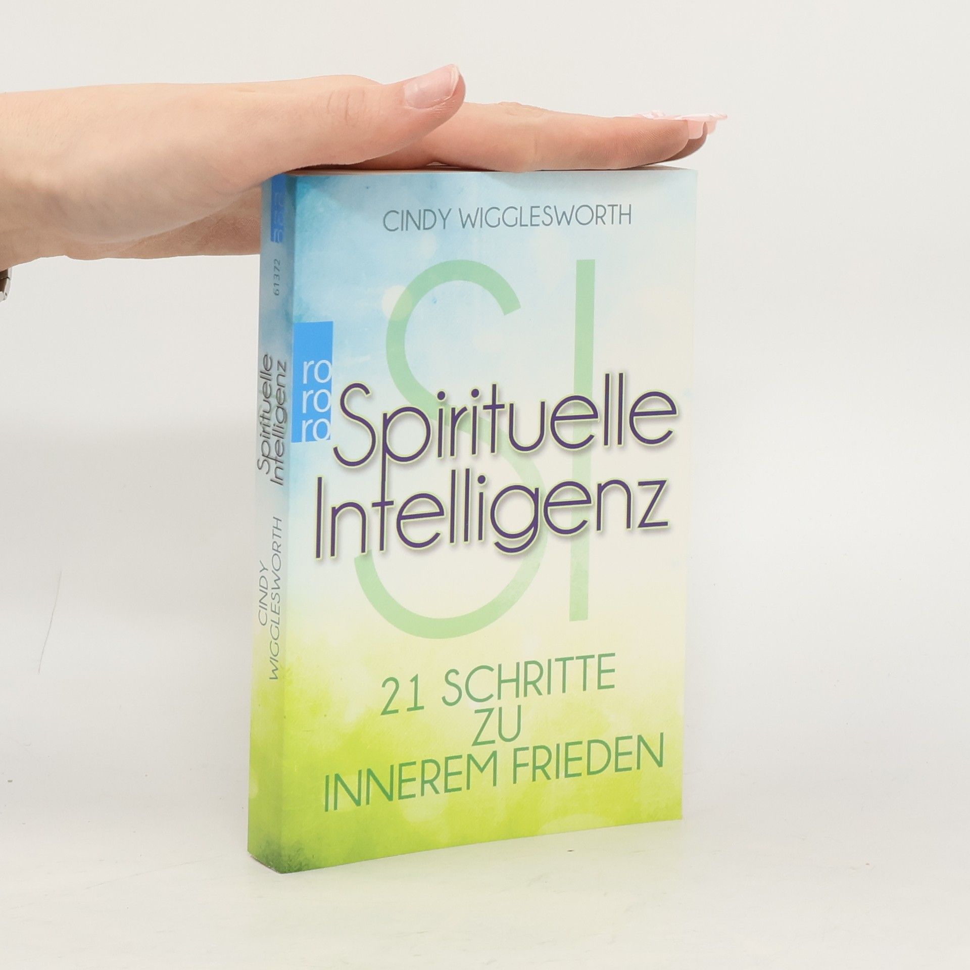 Cindy Wigglesworth Spirituelle Intelligenz