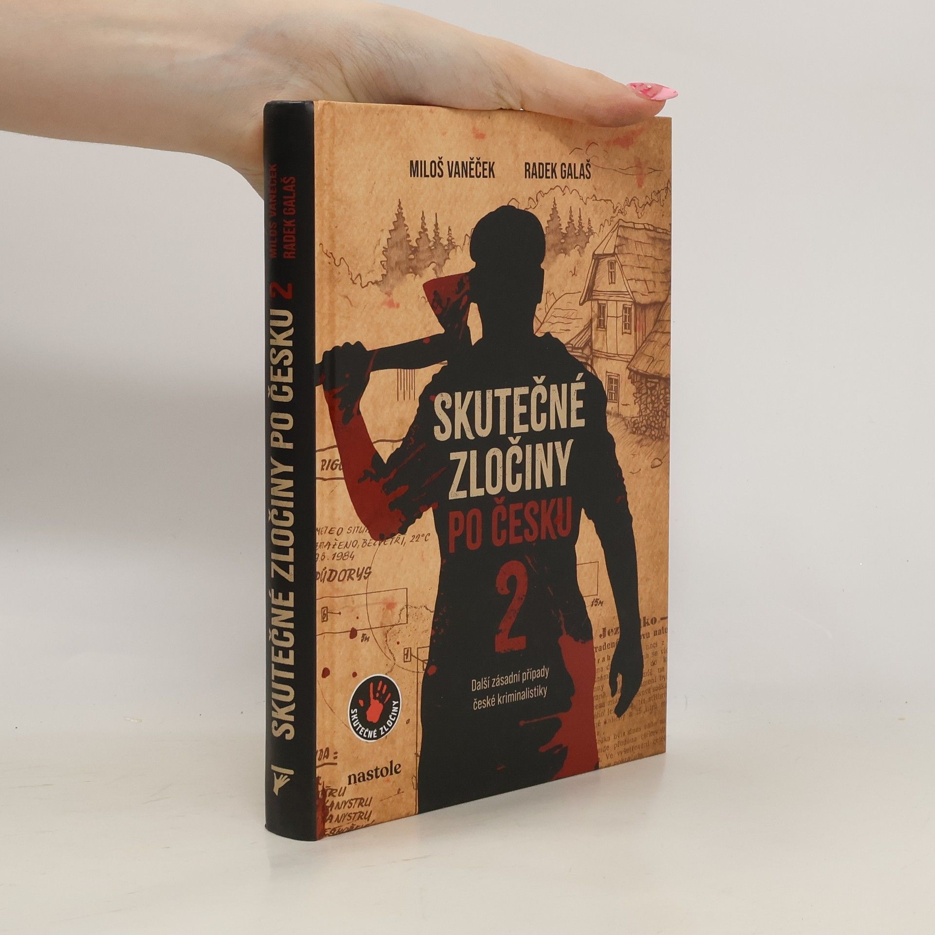 Skutečné zločiny po Česku 2