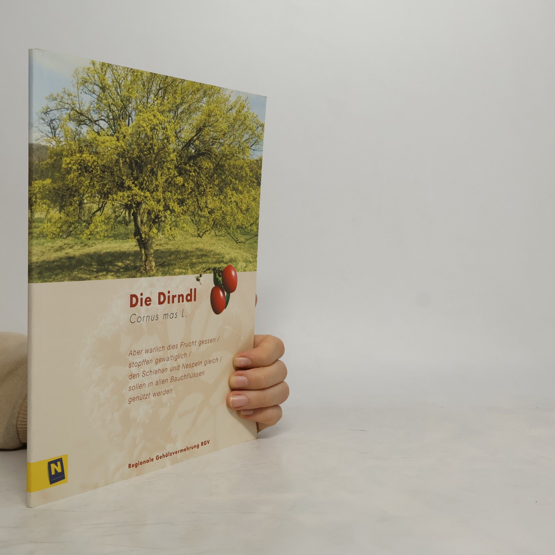 Georg Schramayr Die Dirndl