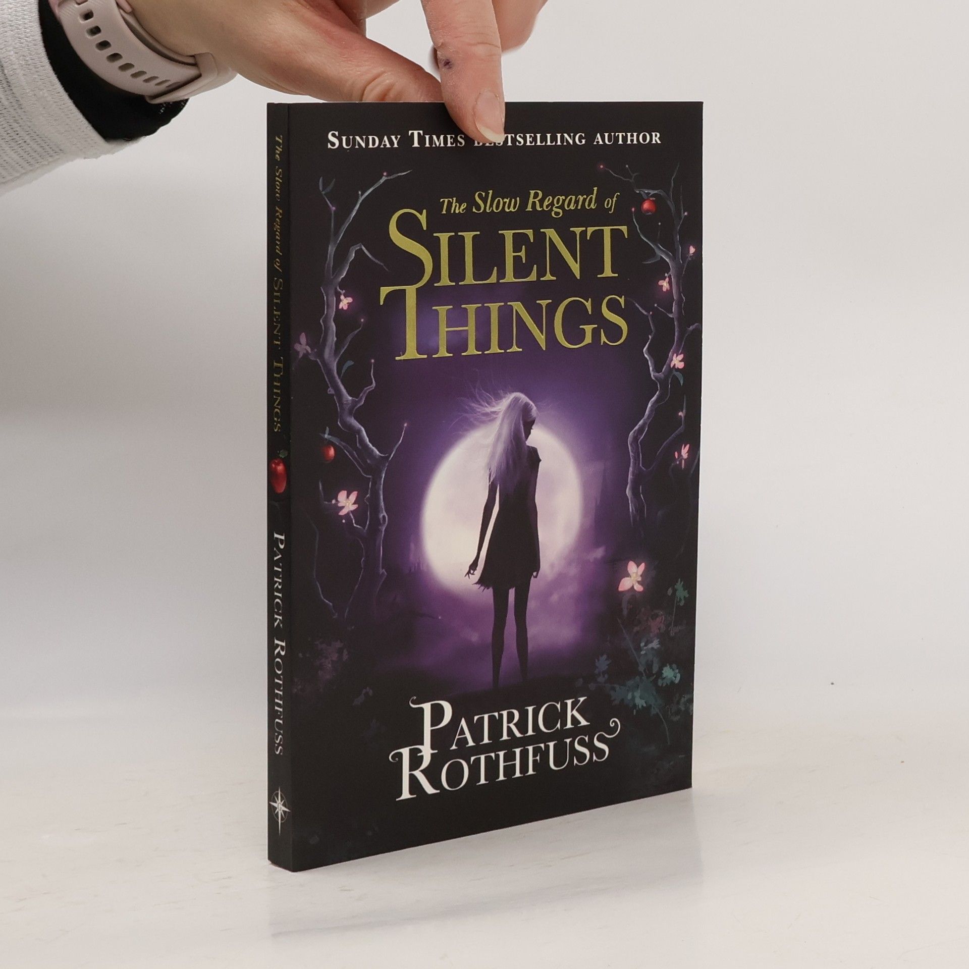 Patrick Rothfuss The Slow Regard of Silent Things