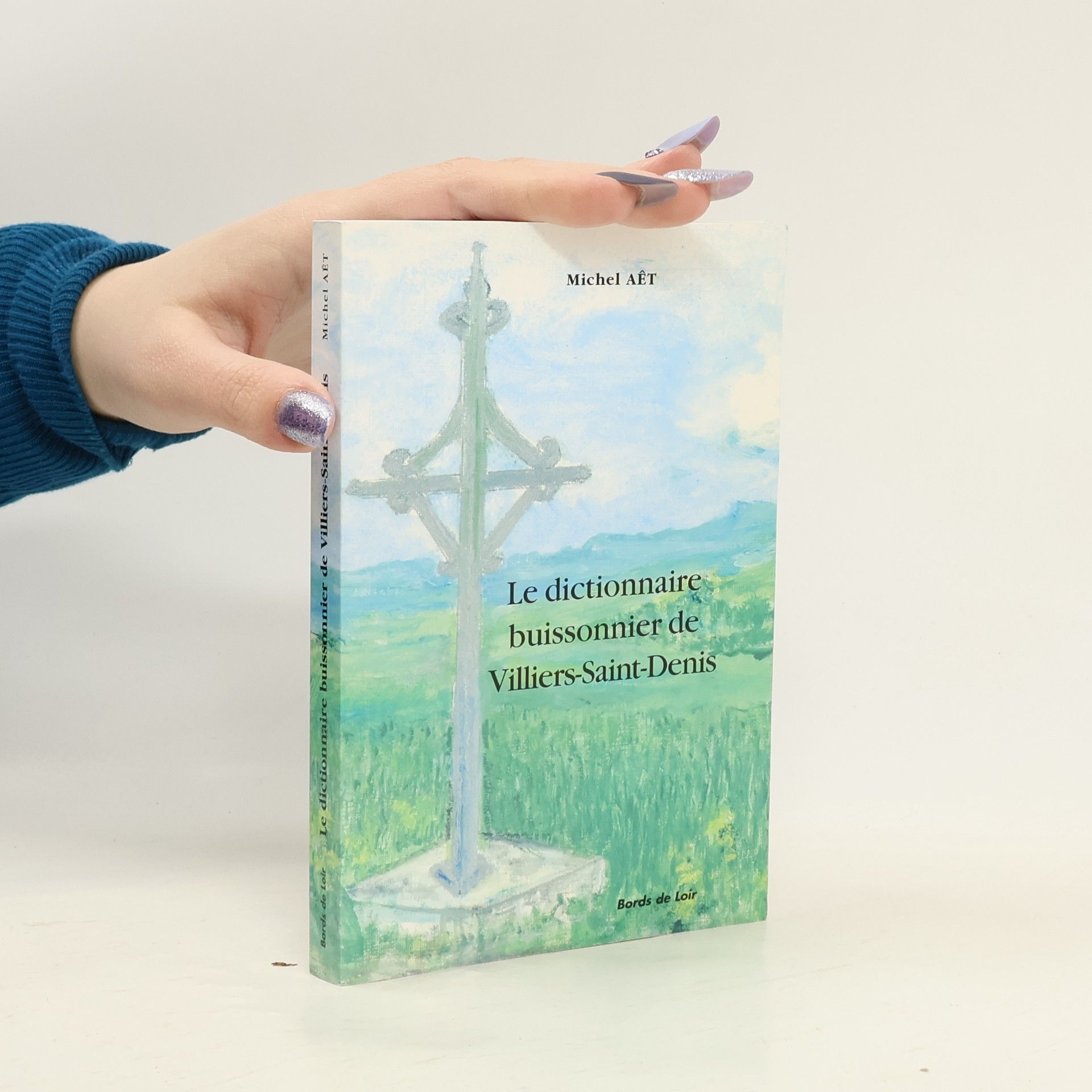 Michel AËT Dictionnaire buissonnier de Villiers-Saint-Denis