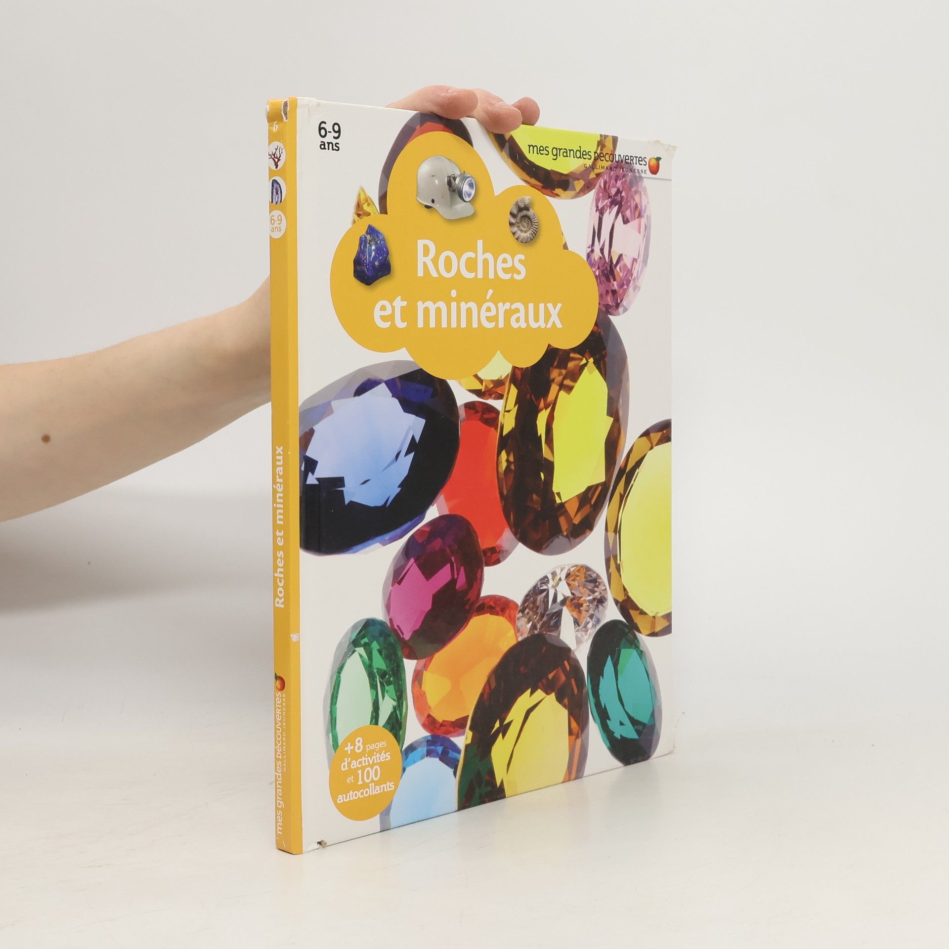 Kolektív autorov Roches et minéraux