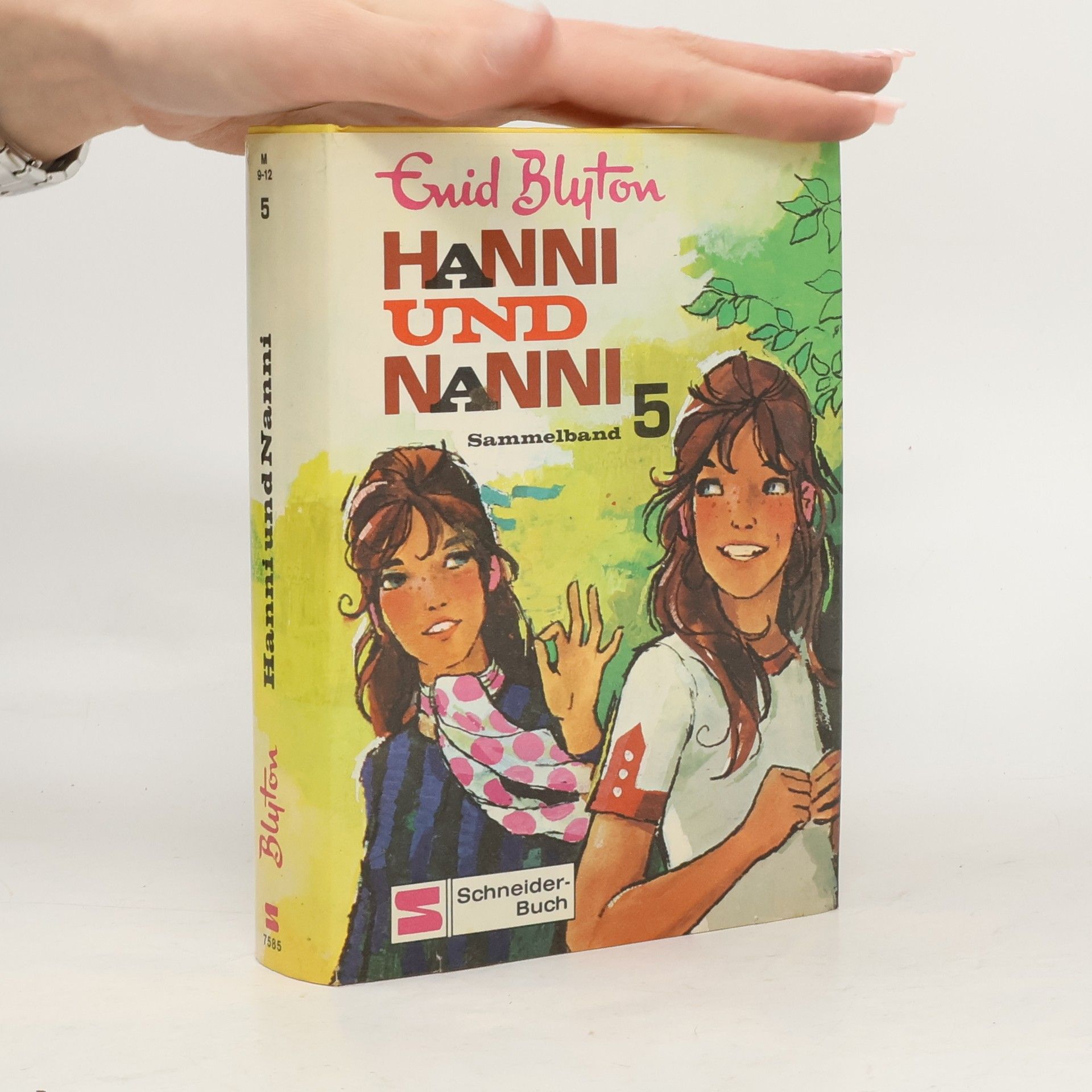 Enid Blyton Hanni und Nanni 5