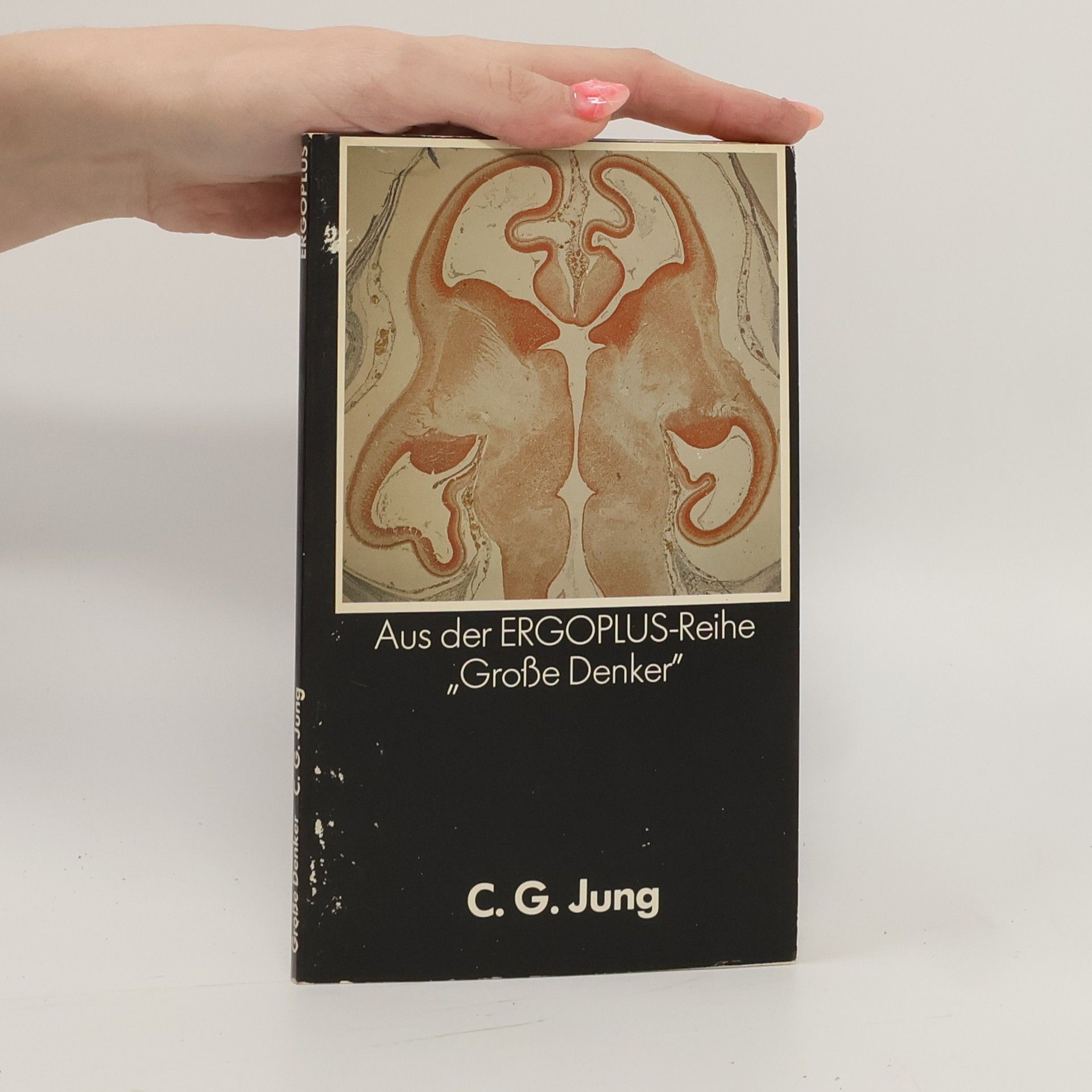 Carl Gustav Jung Aus der Ergoplus Reihe Große Denker