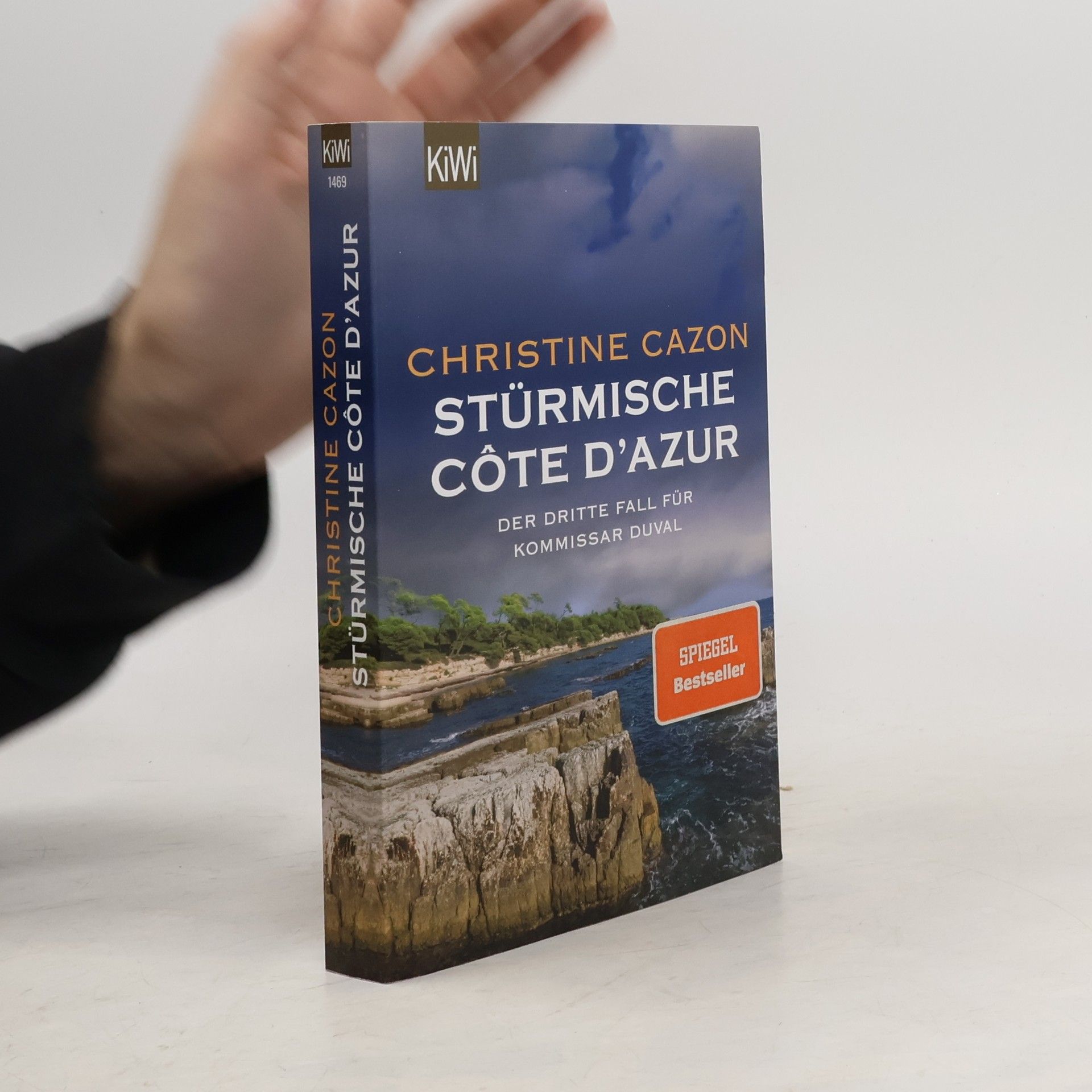 Christine Cazon Stürmische Cote d´Azur